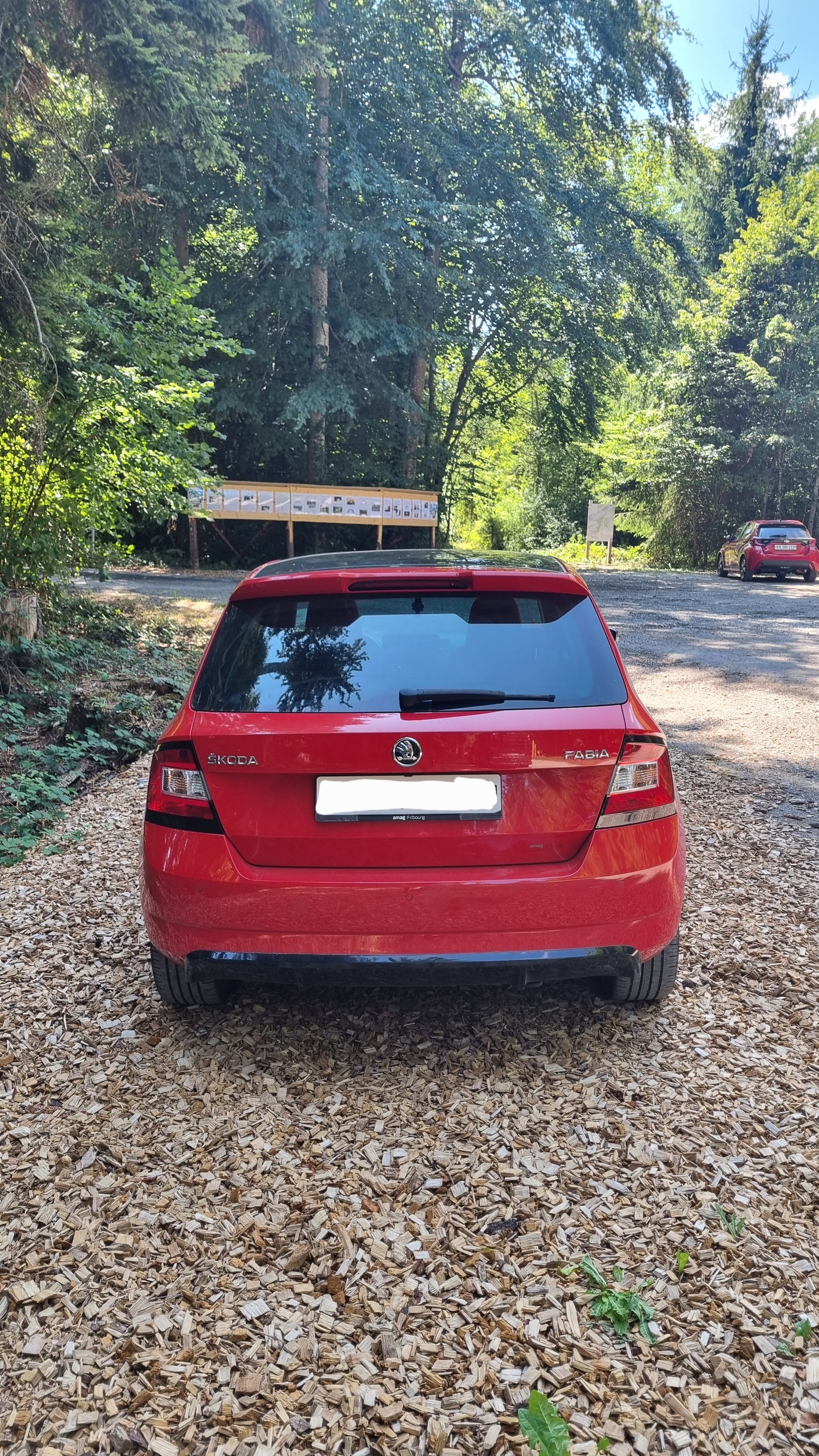 SKODA 1.2 TSI Monte Carlo-image-3