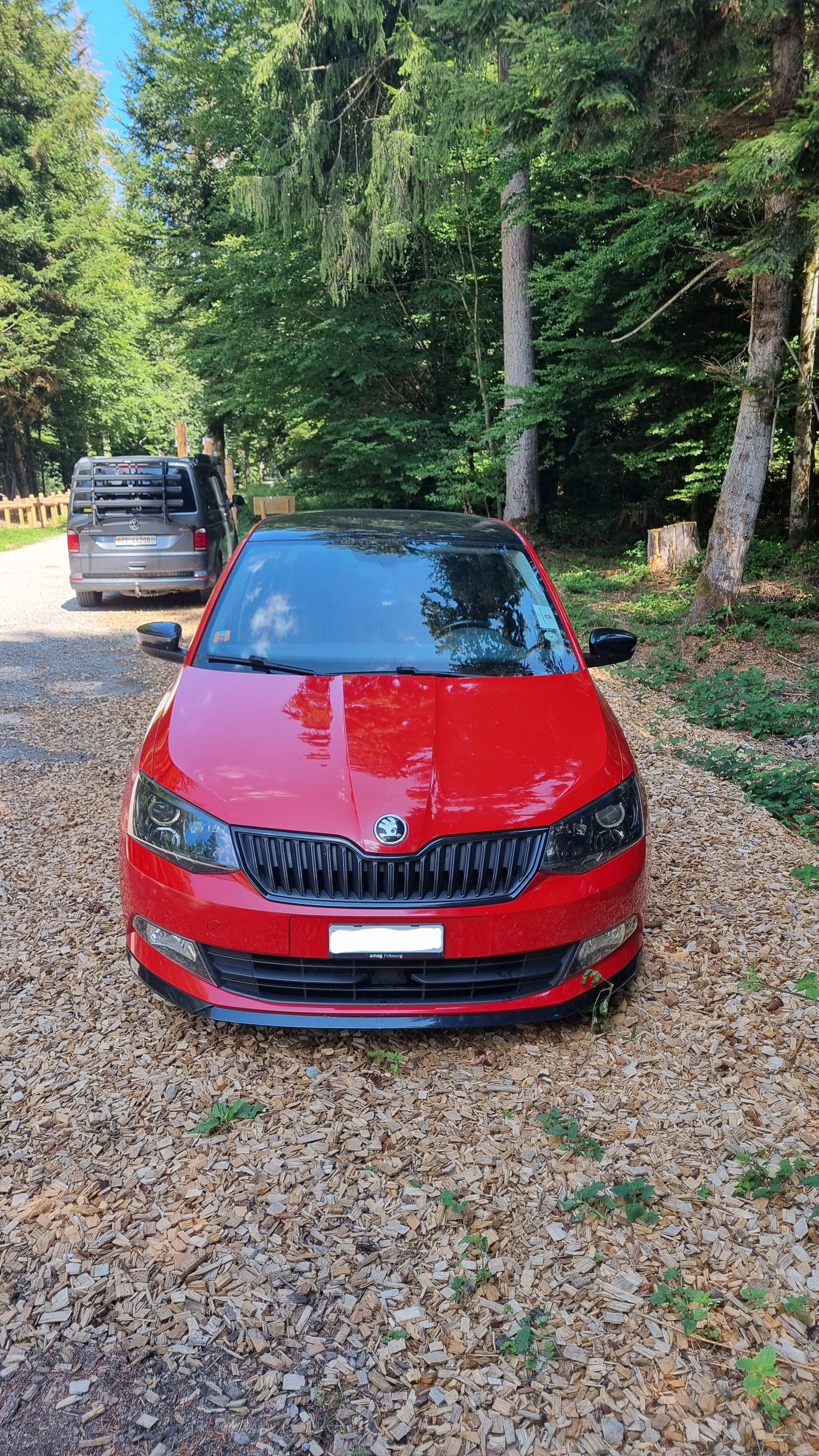 SKODA 1.2 TSI Monte Carlo-image-1