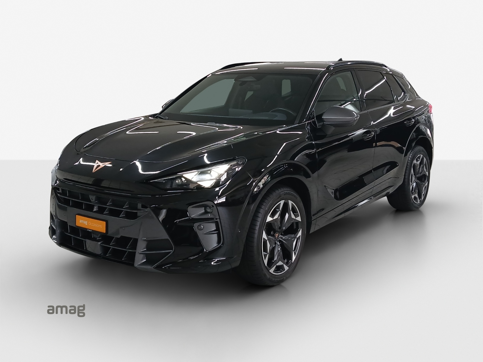CUPRA Terramar 2.0 TSI DSG 4Drive VZ-image-0
