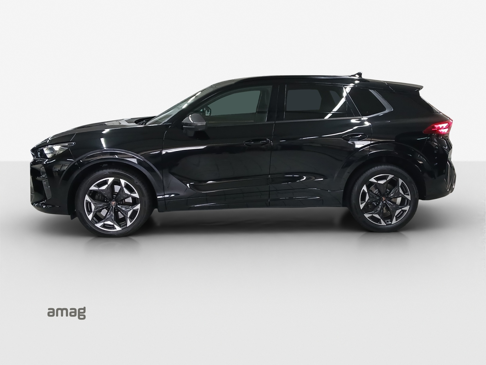 CUPRA Terramar 2.0 TSI DSG 4Drive VZ-image-1
