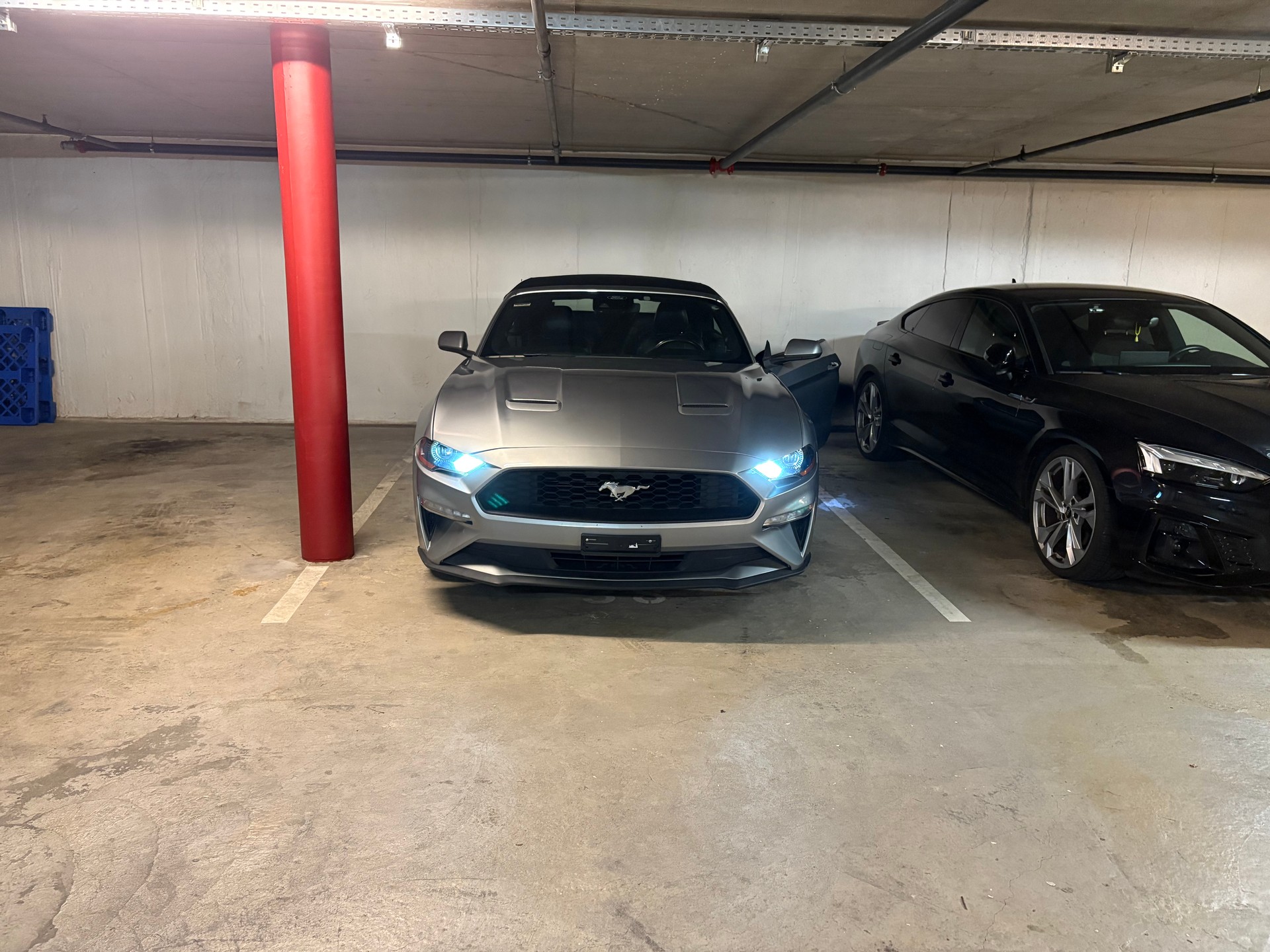 FORD Mustang Convertible 2.3-image-6