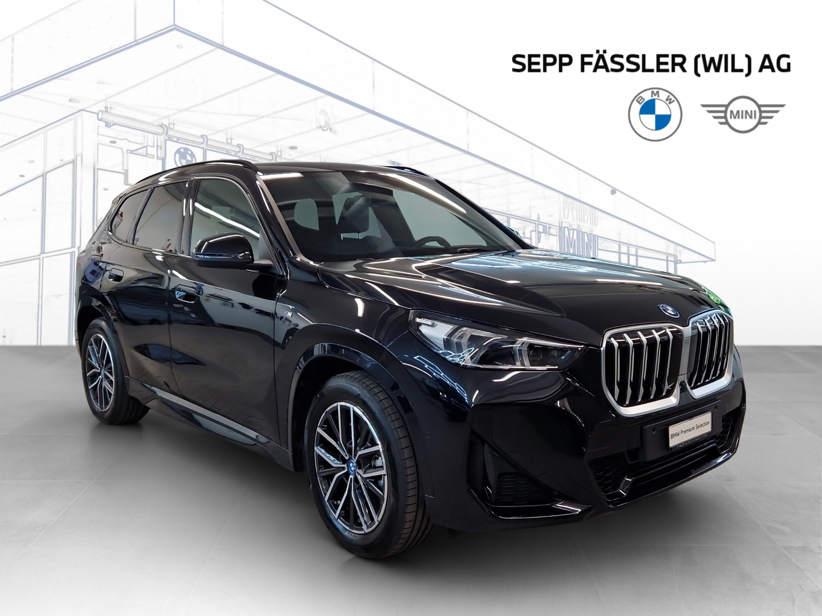BMW X1 xDrive30e M Sport-image-9