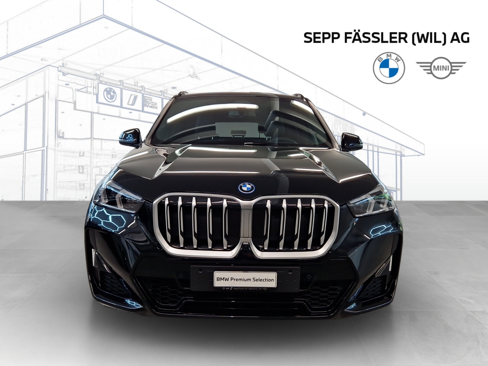 BMW X1 xDrive30e M Sport-image-10