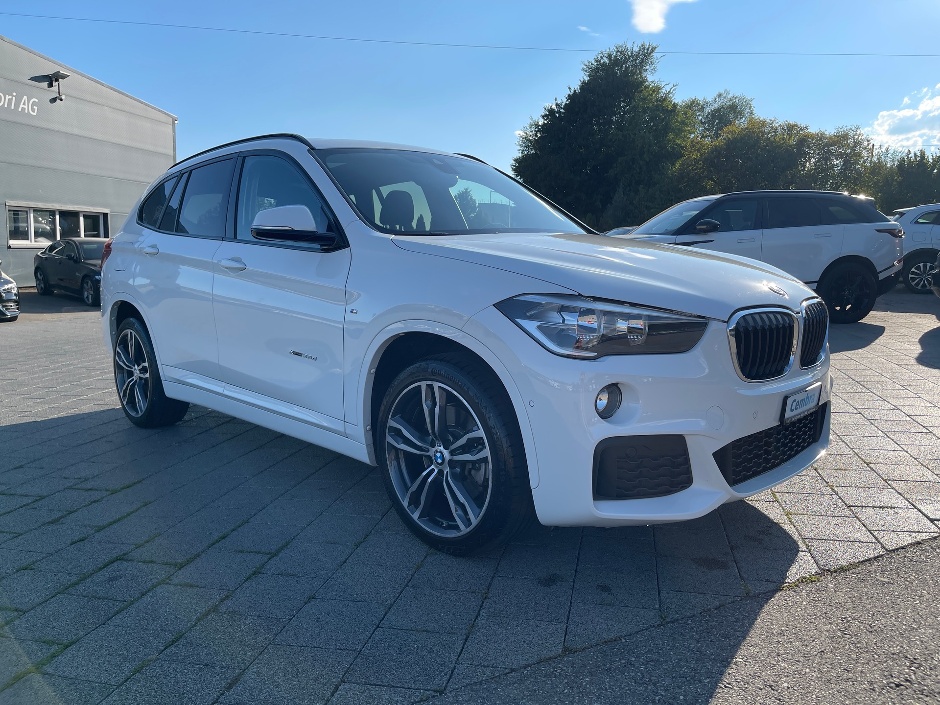 BMW X1 xDrive 25d M Sport Steptronic-image-4