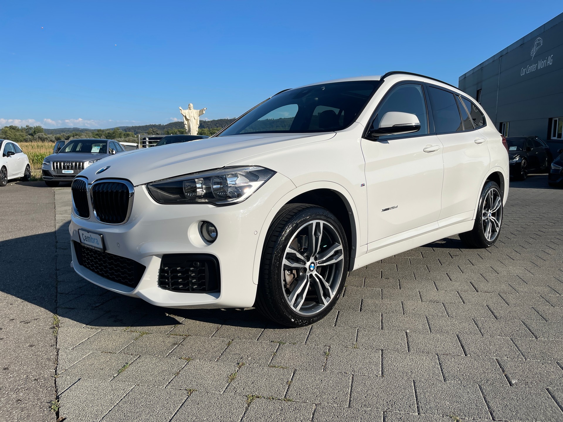 BMW X1 xDrive 25d M Sport Steptronic-image-1