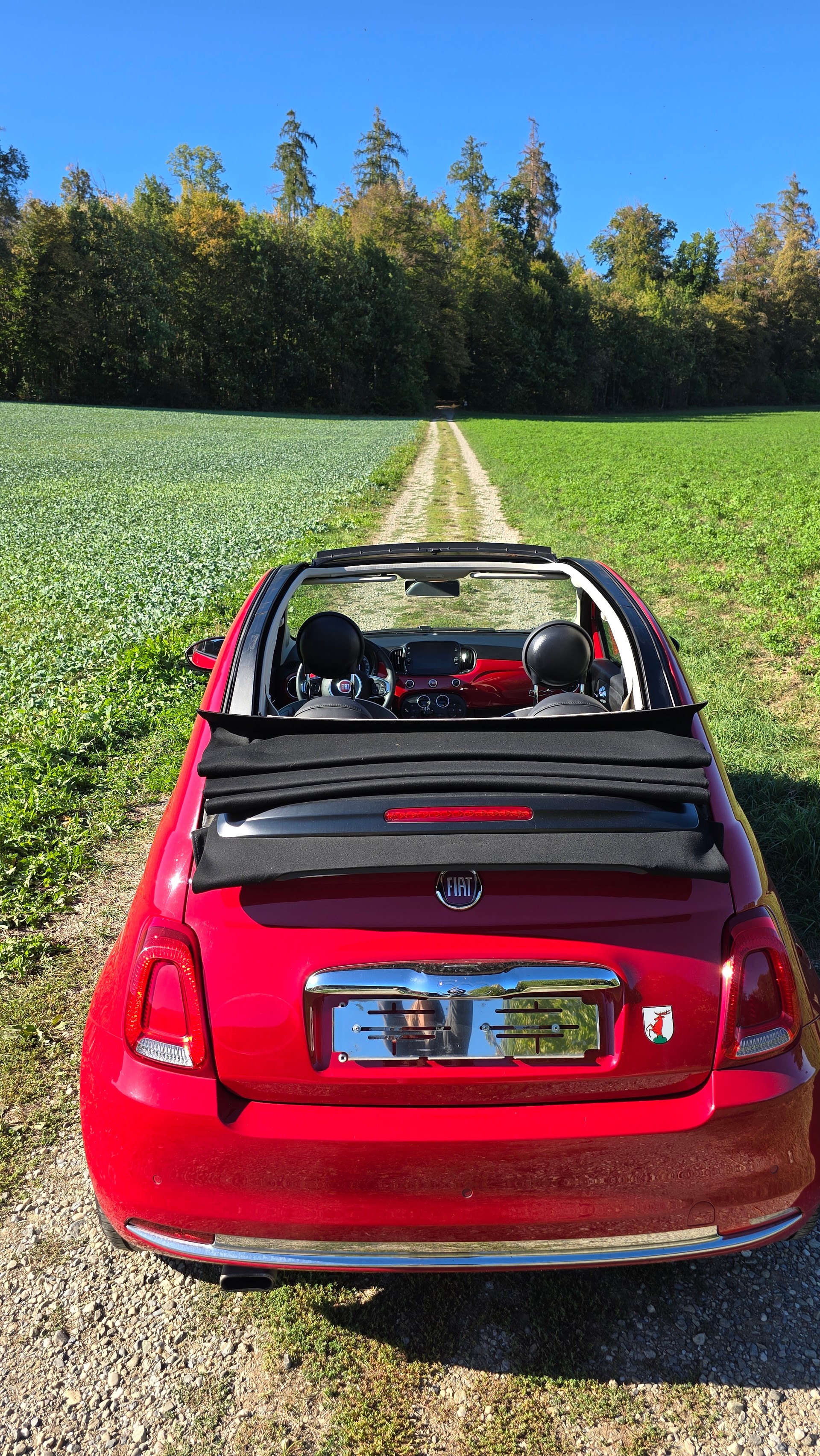 FIAT 0.9 T TwinAir 105 Lounge Cabriolet-image-3