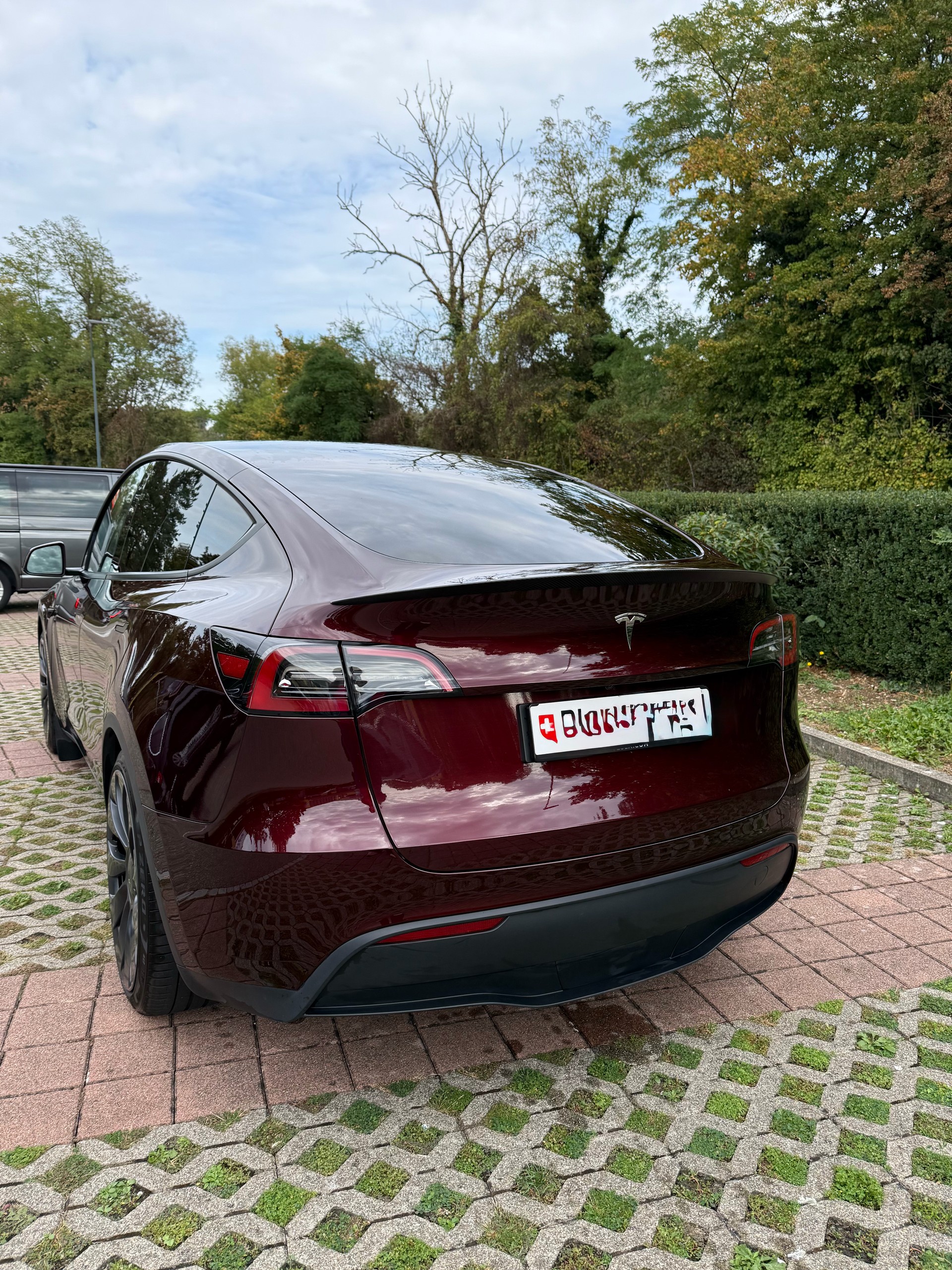 TESLA Performance-image-2