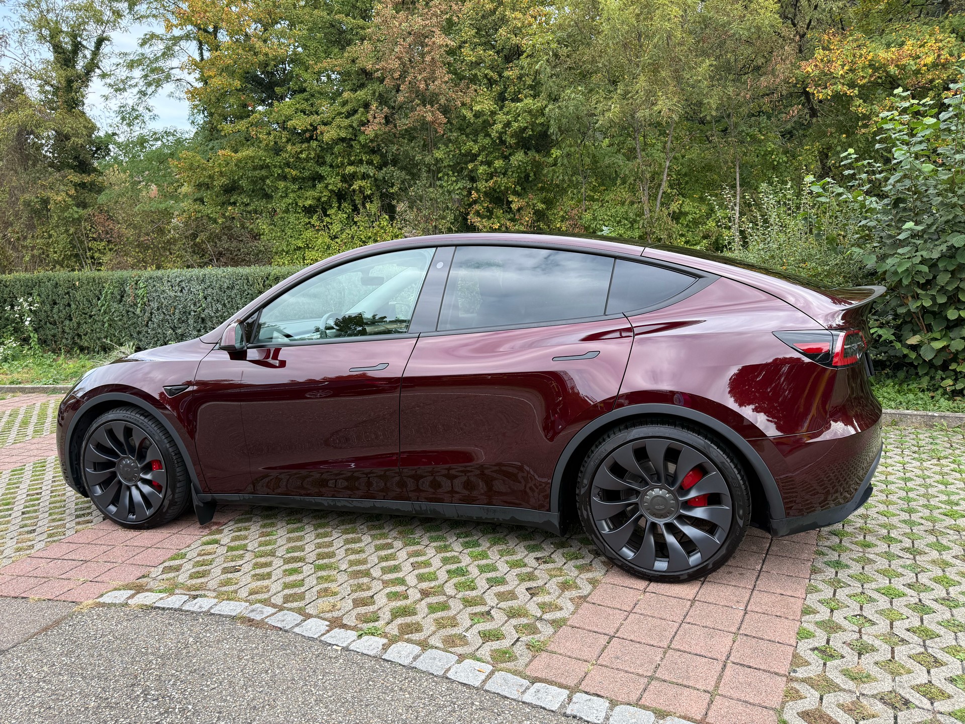 TESLA Performance-image-1