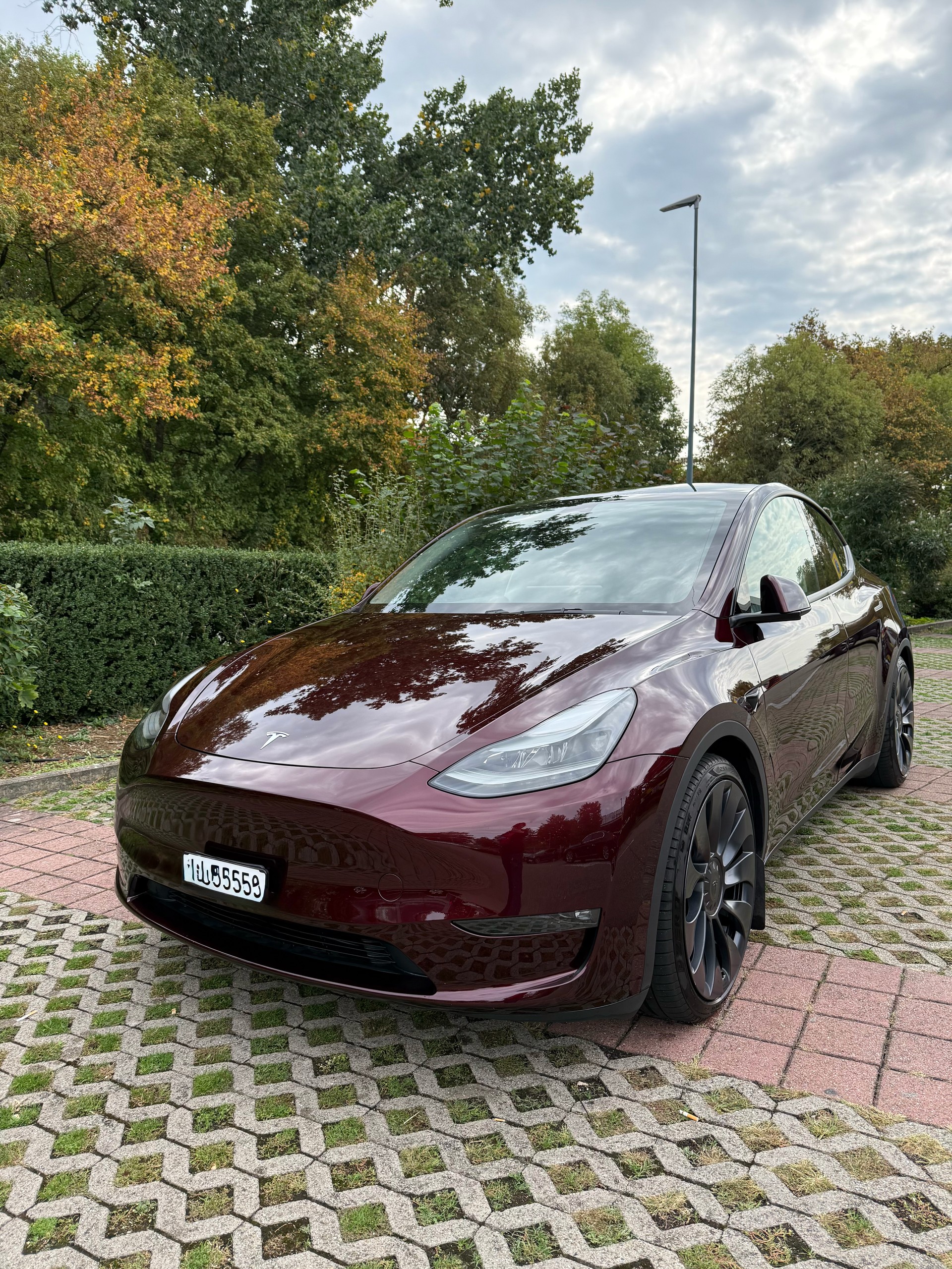 TESLA Performance-image-0