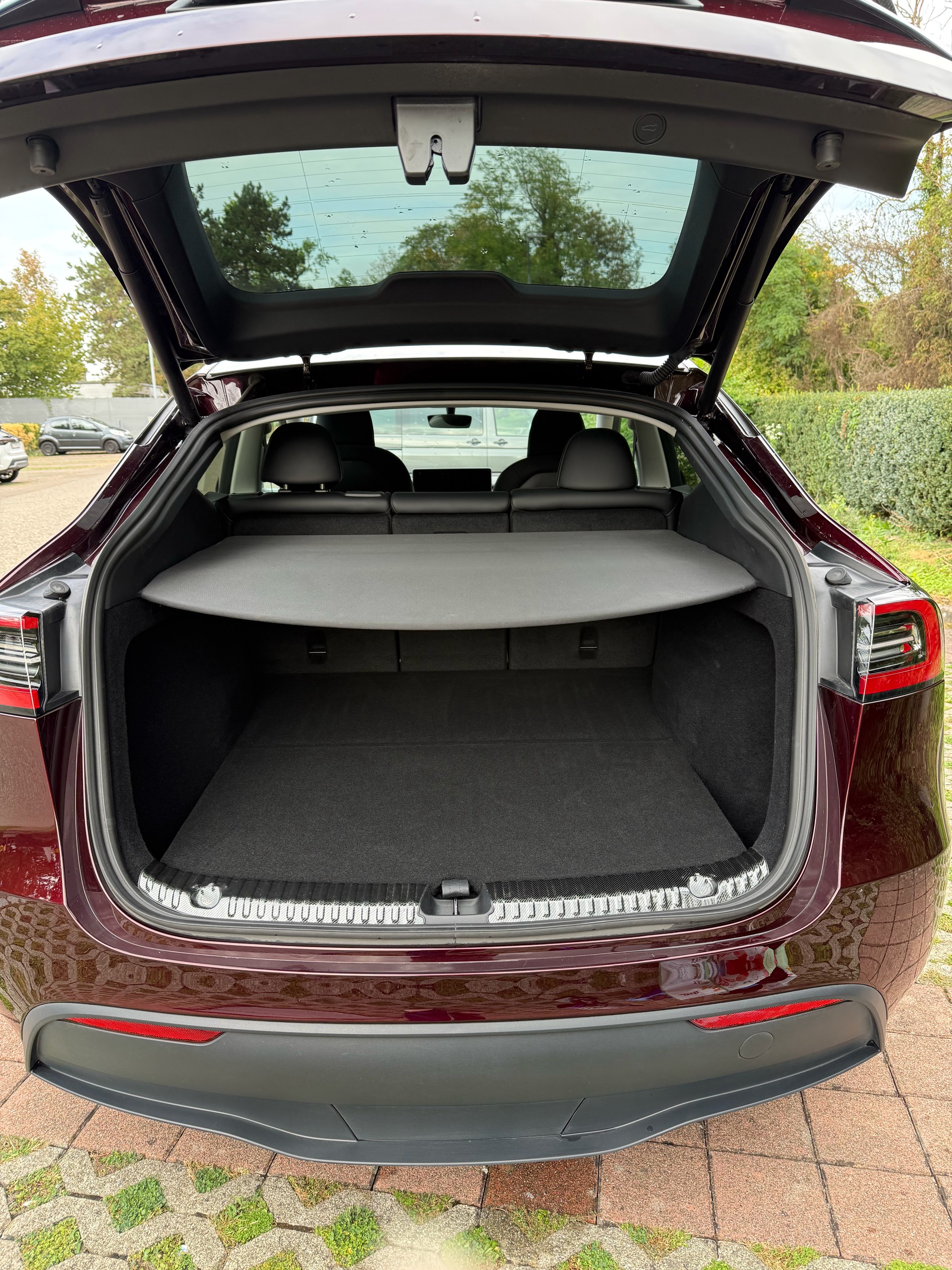 TESLA Performance-image-3
