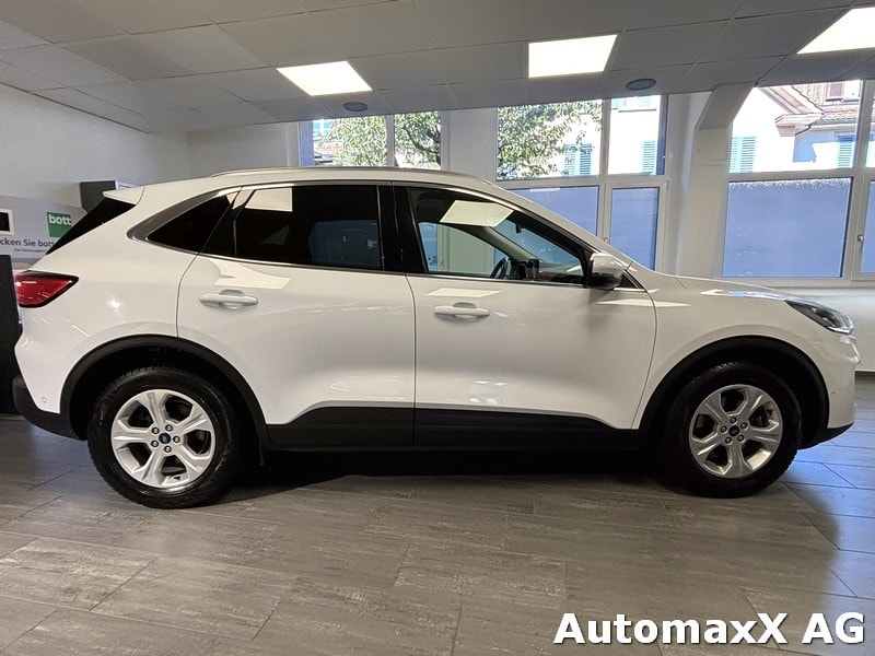 FORD Kuga 2.0 EcoBlue MHEV Titanium X-image-2