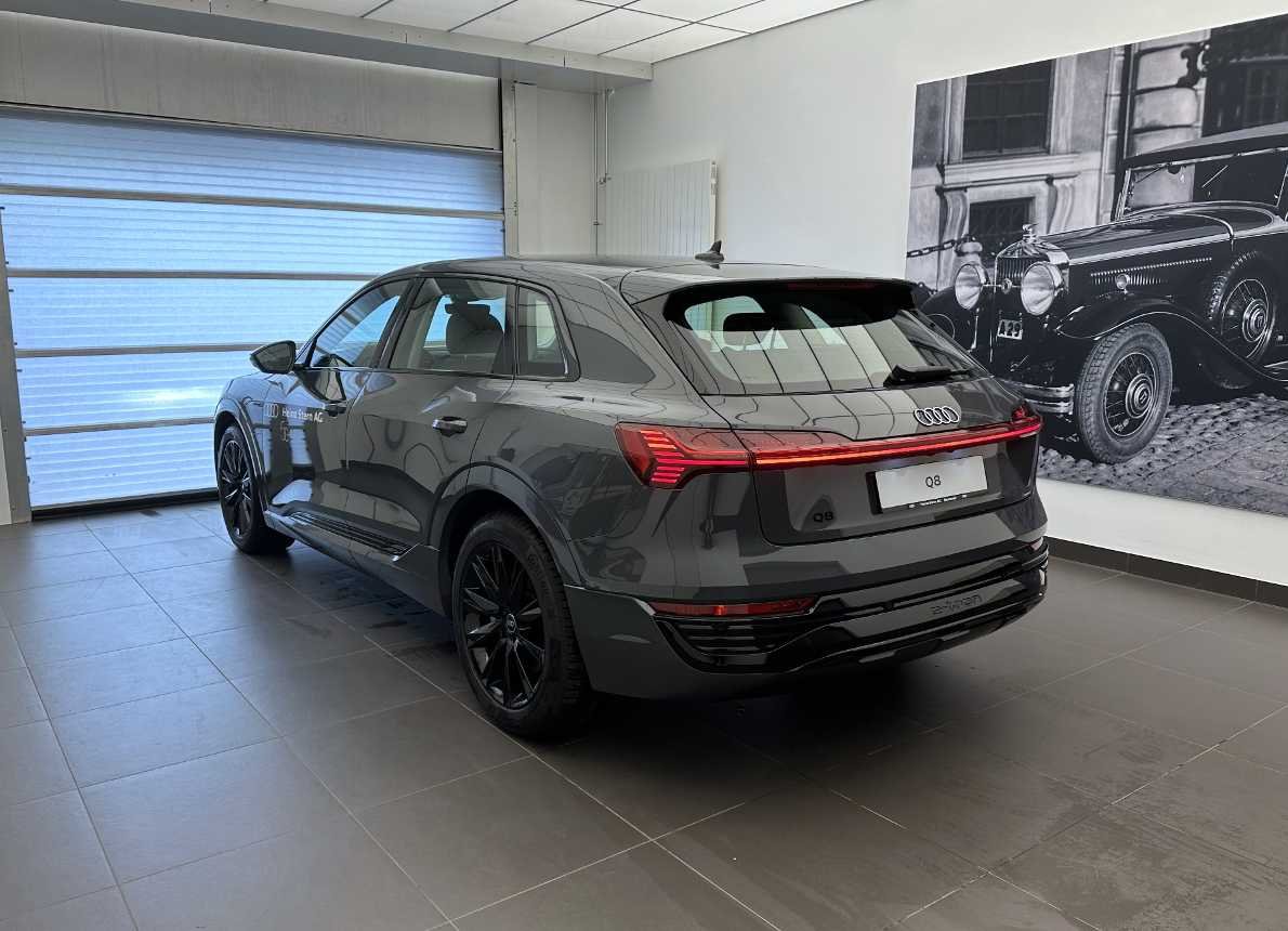 AUDI Q8 55 e-tron advanced quattro-image-15