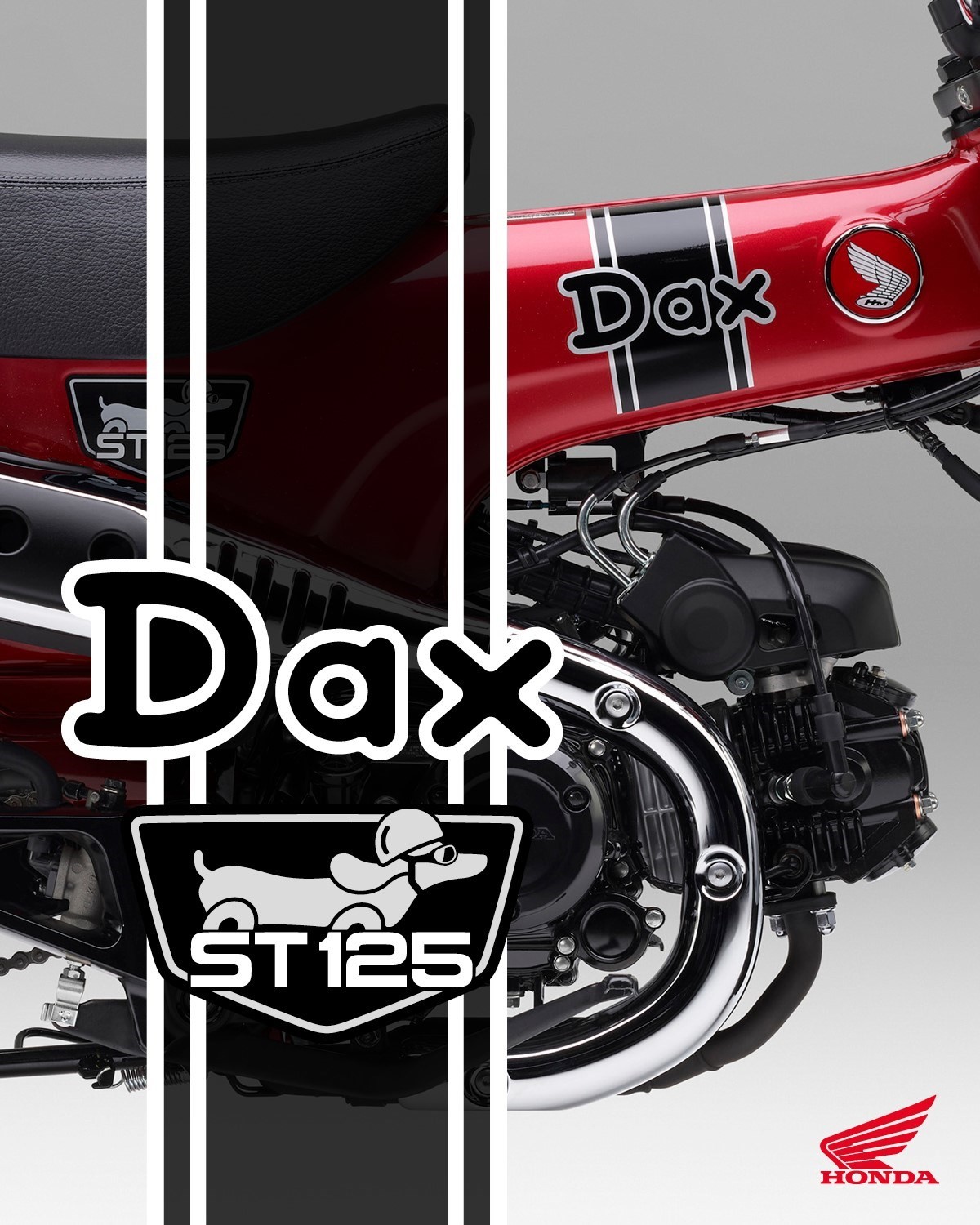 HONDA St 125 Dax-showroom-element-2