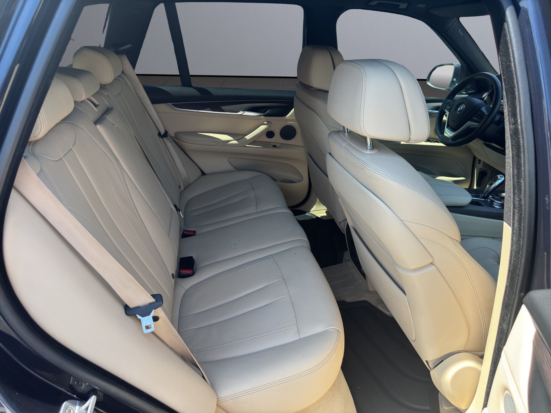 BMW X5 xDrive 40e iPerformance Steptronic-image-16