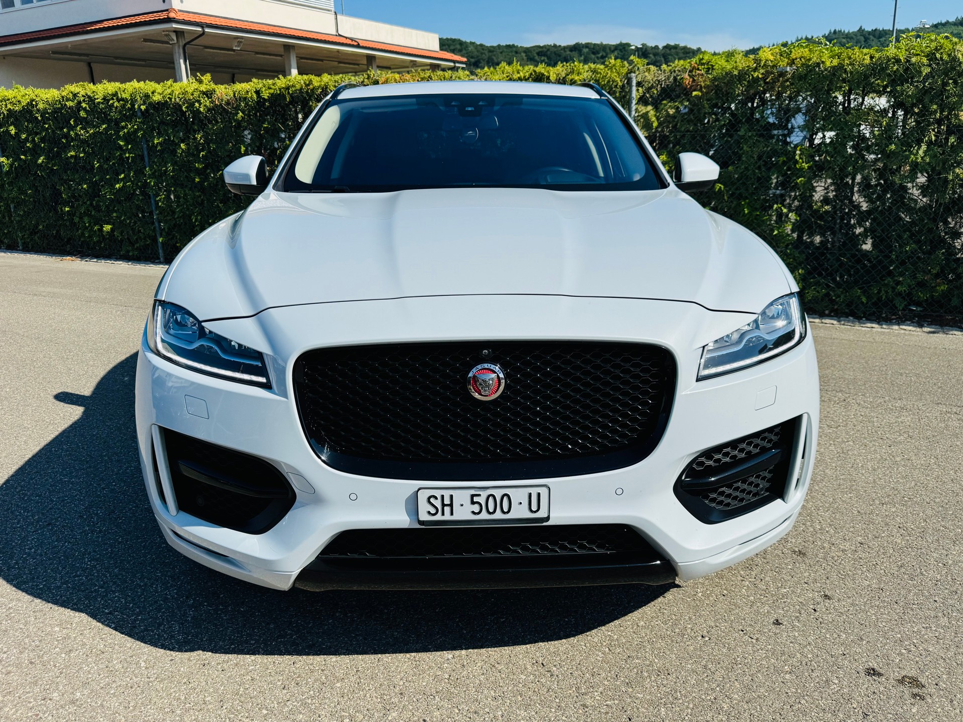 JAGUAR F-Pace 3.0 TD R-Sport *300PS* AWD Automatik-image-2