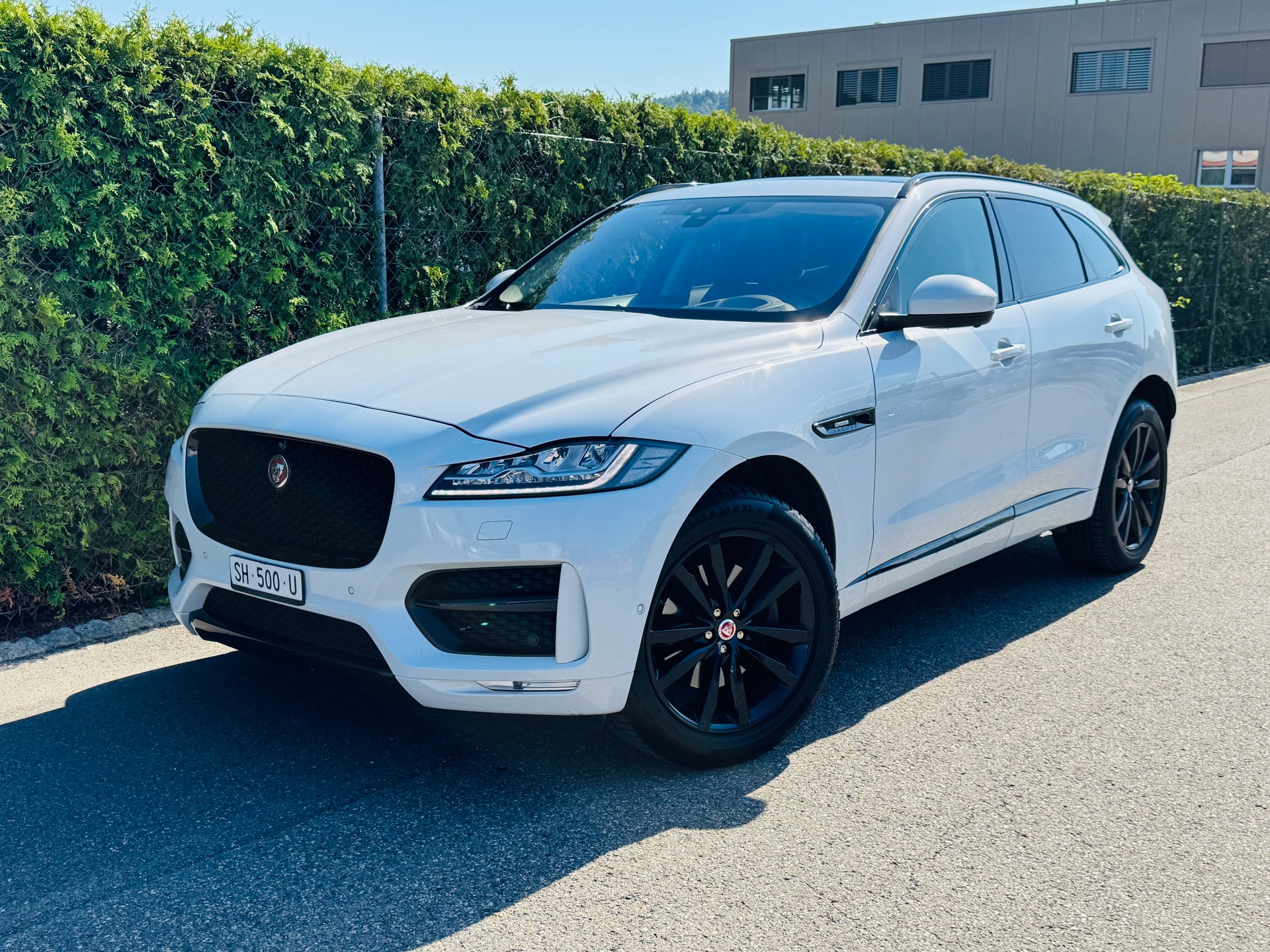 JAGUAR F-Pace 3.0 TD R-Sport *300PS* AWD Automatik-image-1