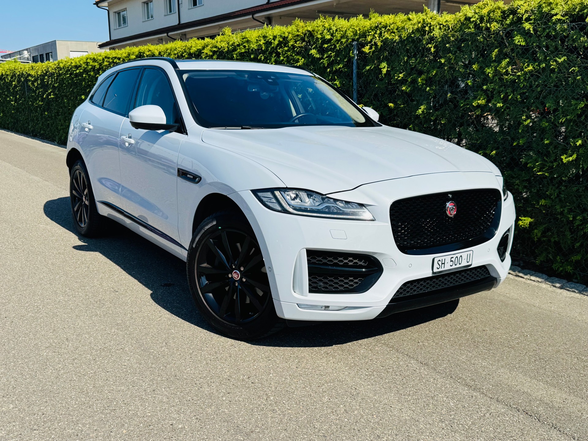 JAGUAR F-Pace 3.0 TD R-Sport *300PS* AWD Automatik-image-0