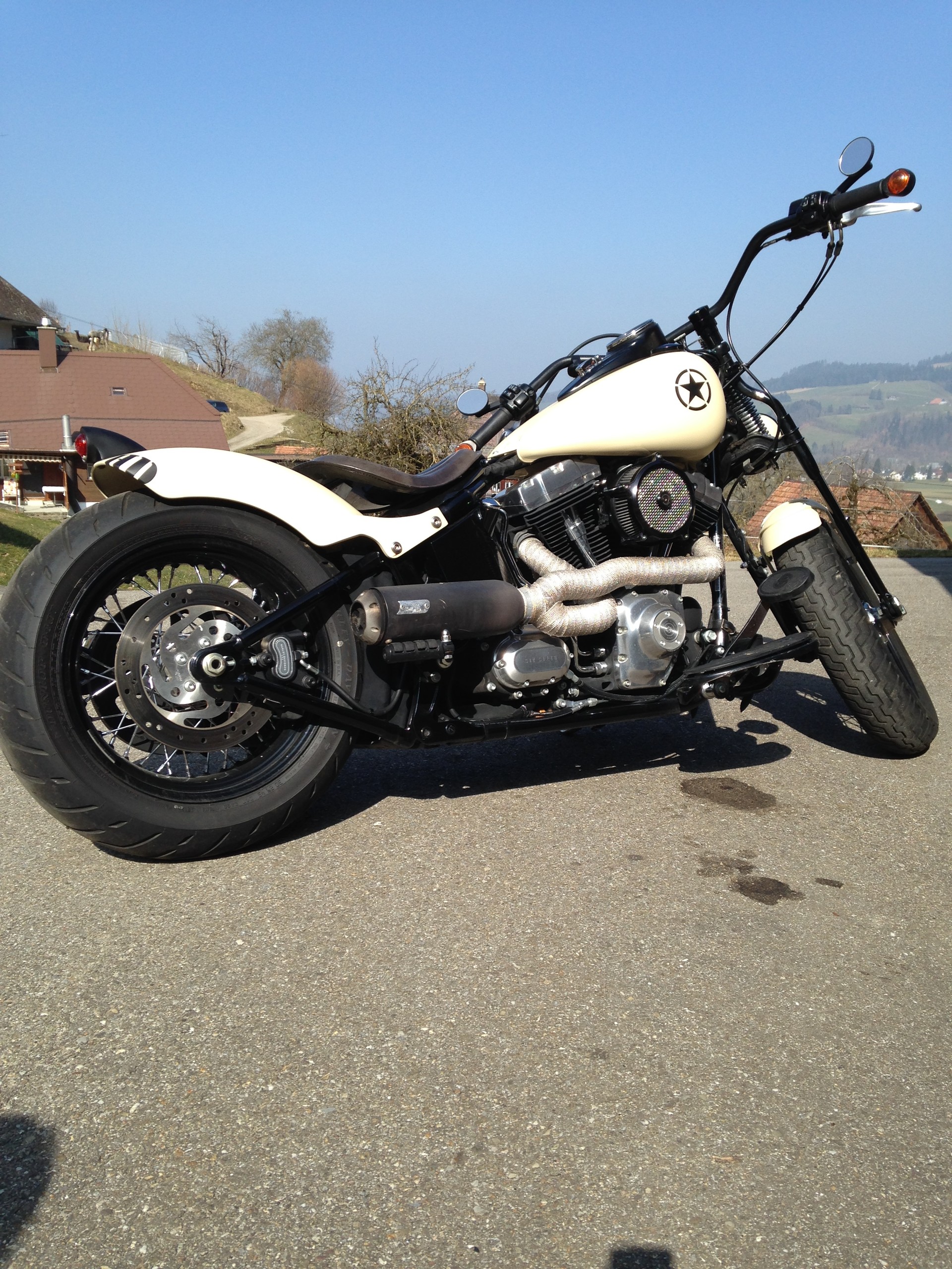 HARLEY-DAVIDSON FLSTSB, Cross Bones