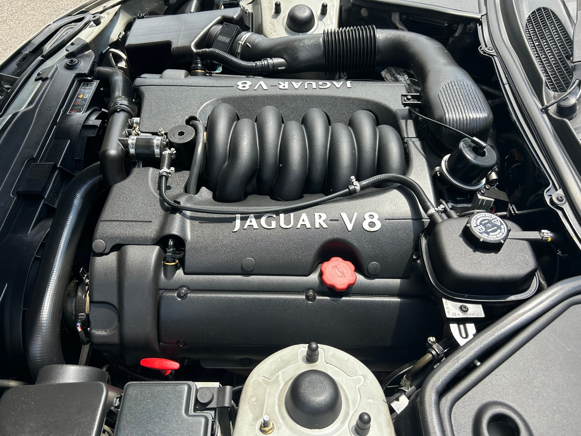 JAGUAR XK8 Coupé Meteorite Silver - Schwarz-image-6