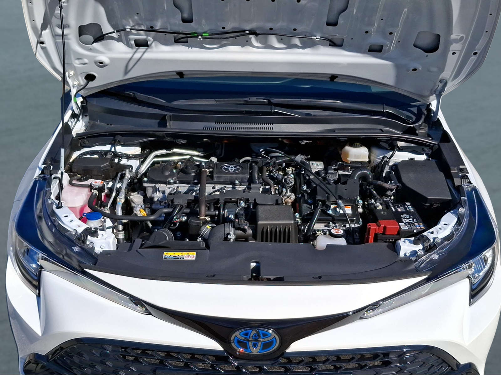 TOYOTA Corolla Touring Sports 1.8 HSD Comfort e-CVT-image-13