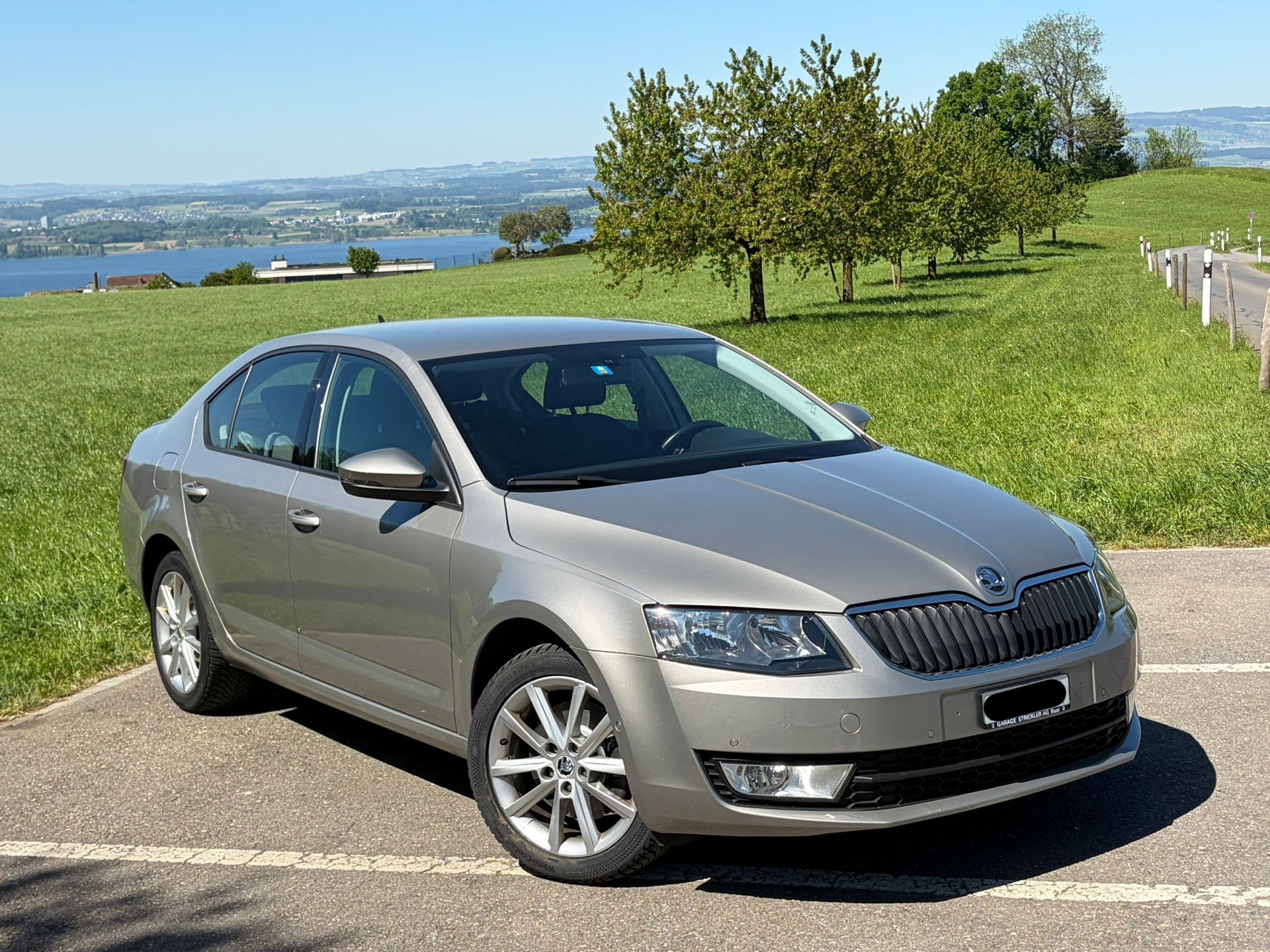 SKODA 1.8 TSI Elegance DSG