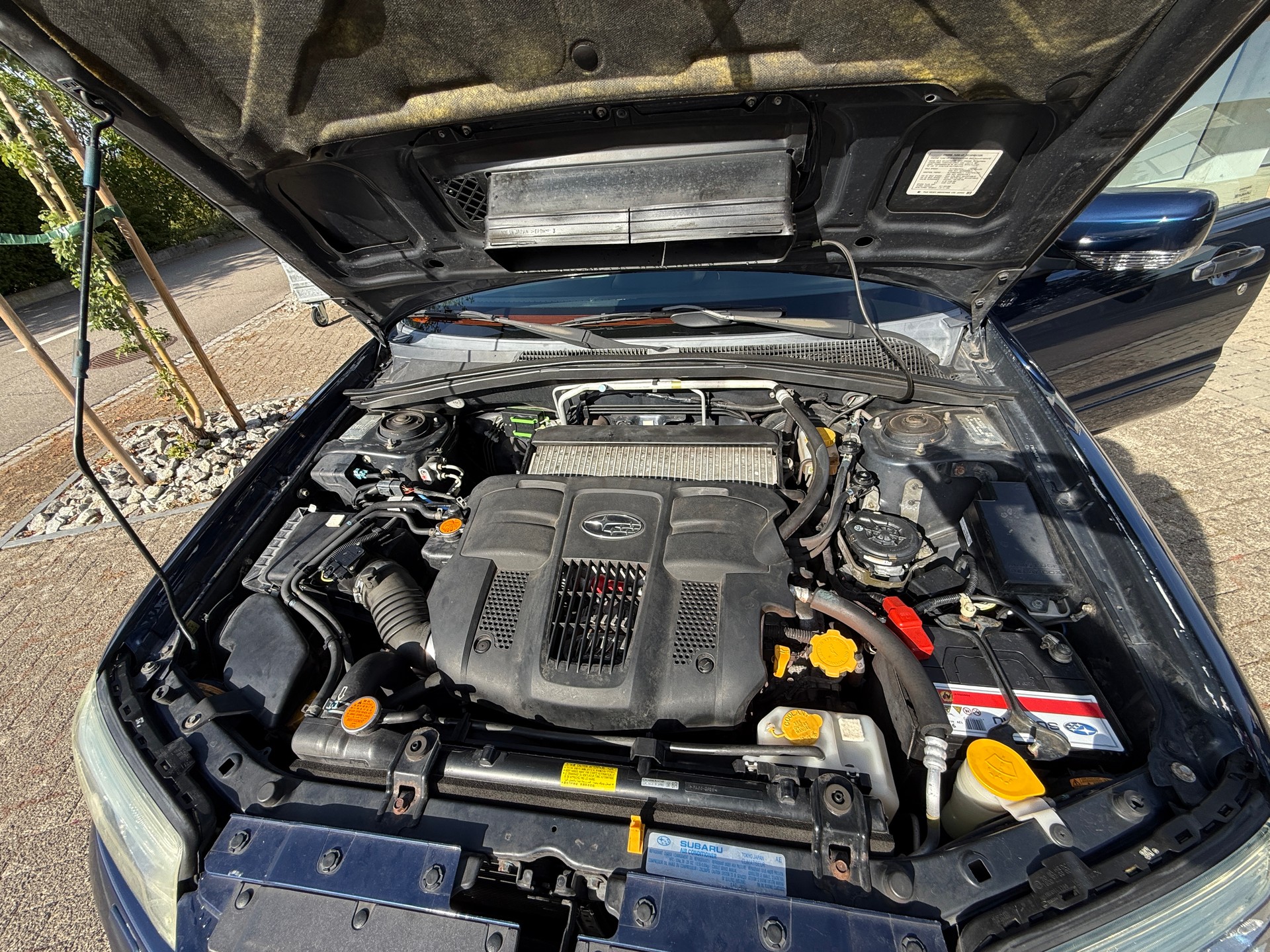 SUBARU 2.5 XT Club-image-5