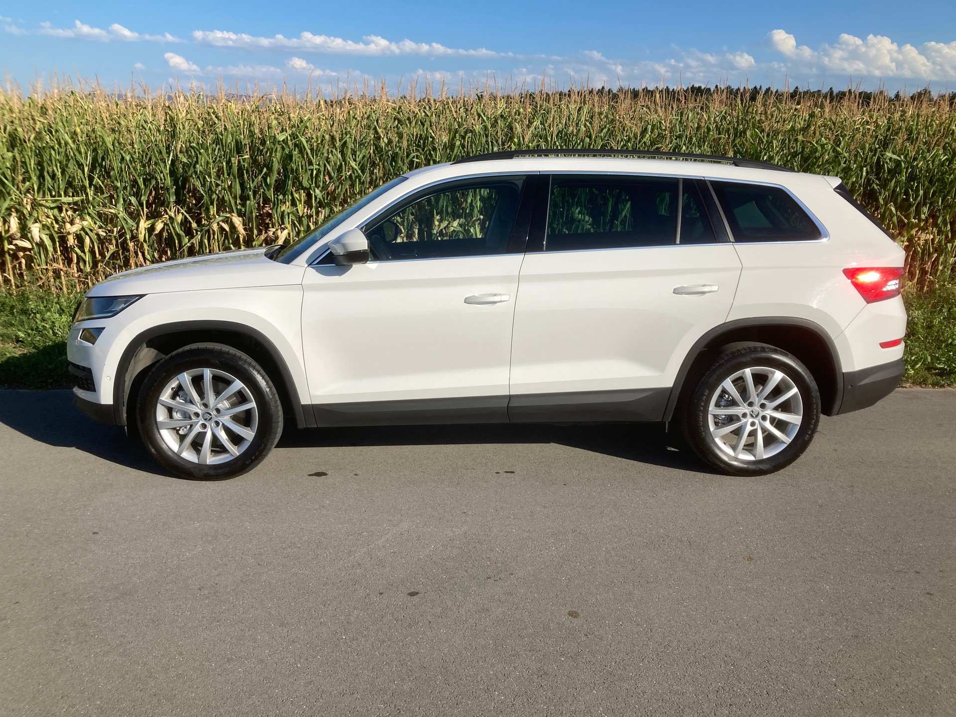SKODA Kodiaq 2.0 TDI SCR Style 4x4 DSG mit Anhängerkupplung-image-4