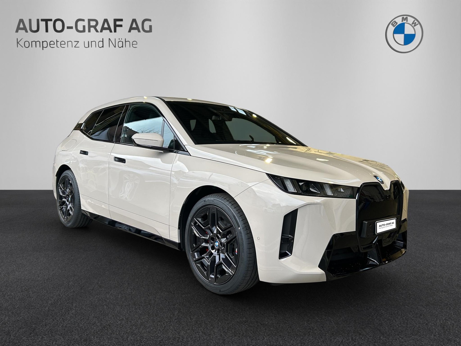 BMW iX xDrive45 M Sport Pro-image-10