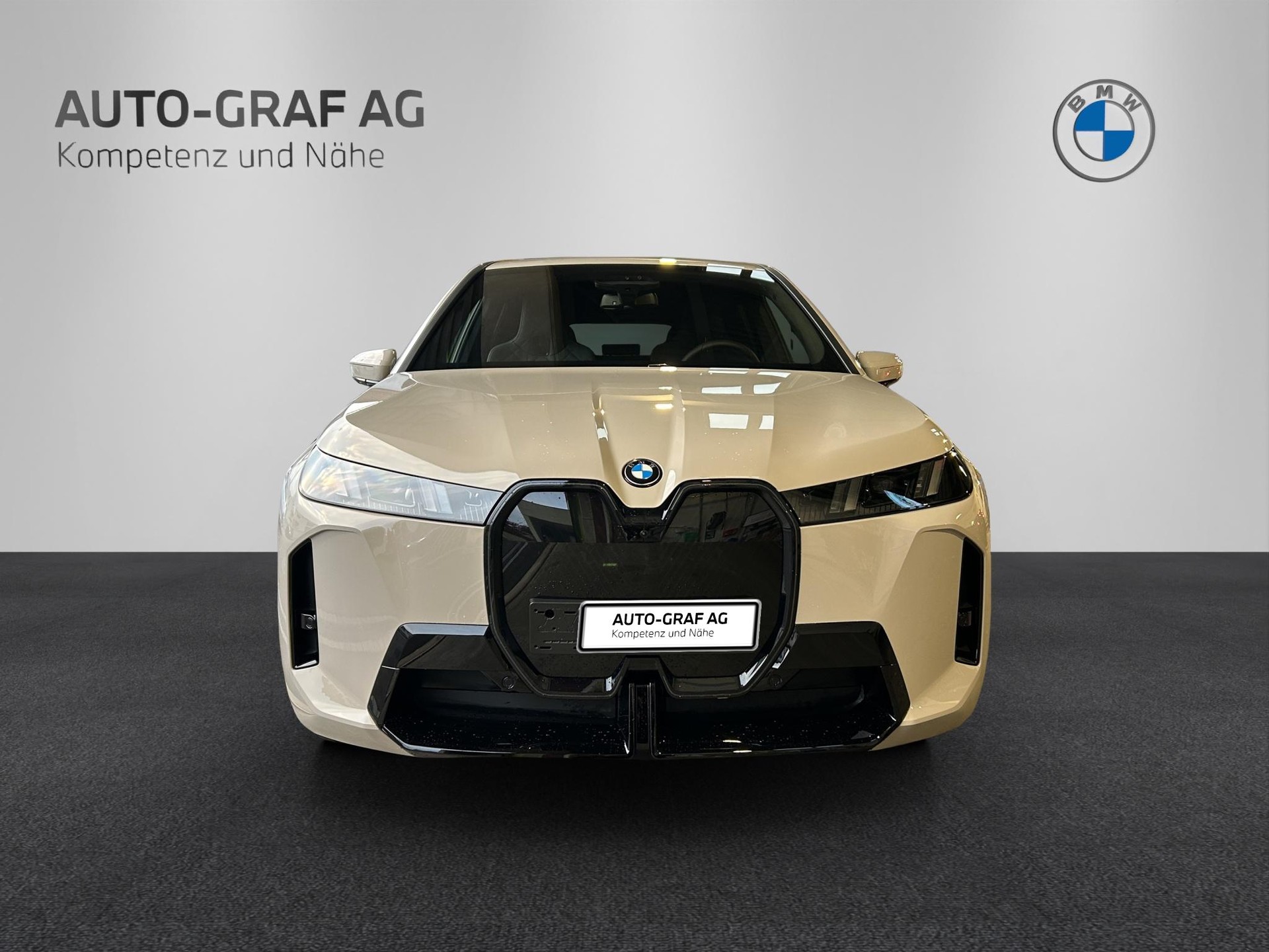 BMW iX xDrive45 M Sport Pro-image-12