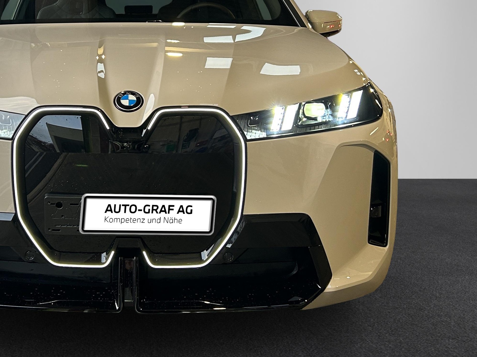 BMW iX xDrive45 M Sport Pro-image-13