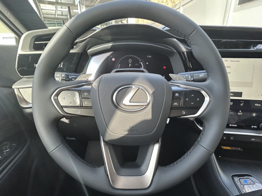 LEXUS RZ 500e 77 KW Excellence-image-8
