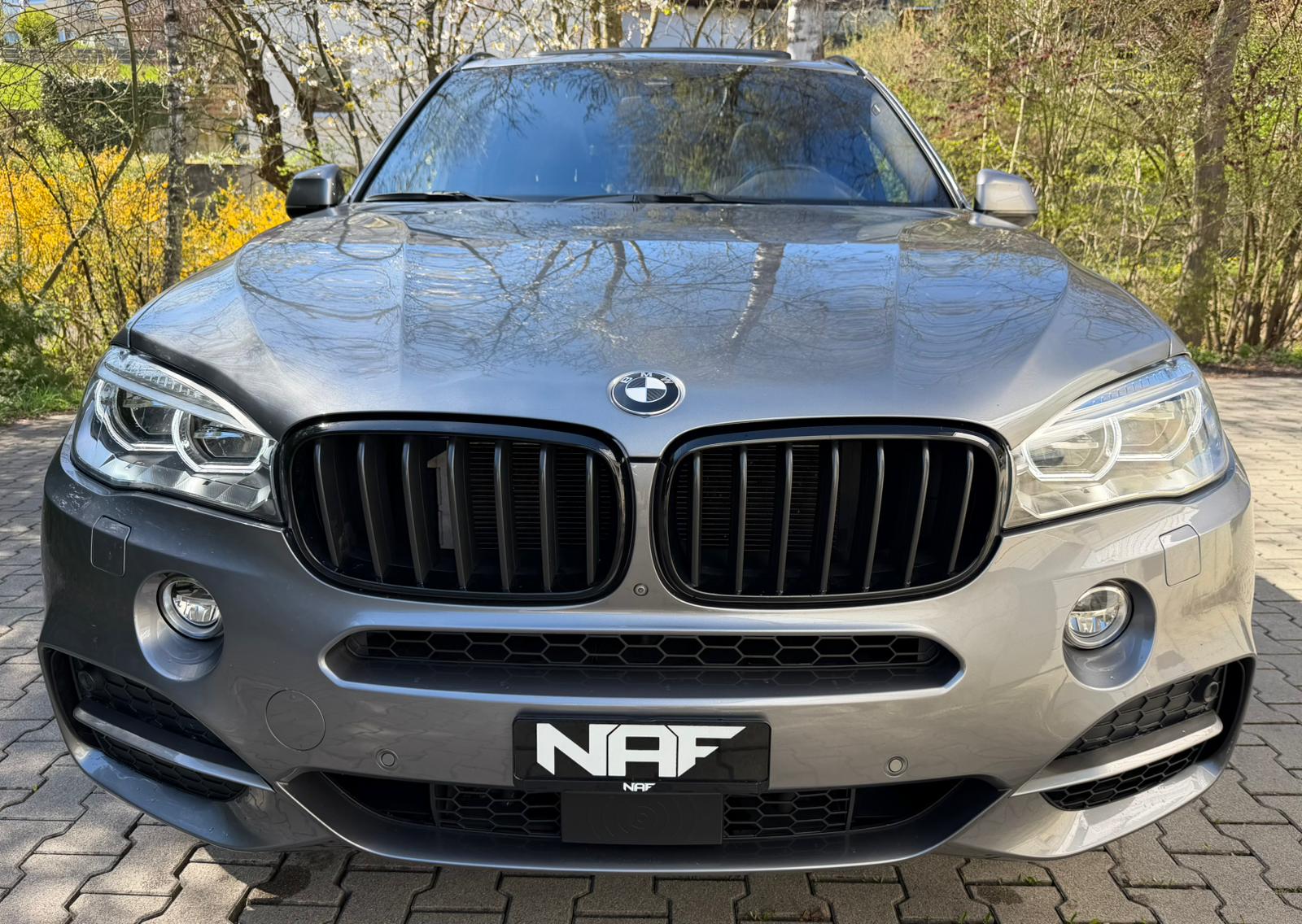 BMW X5 xDrive M50d Steptronic-image-7