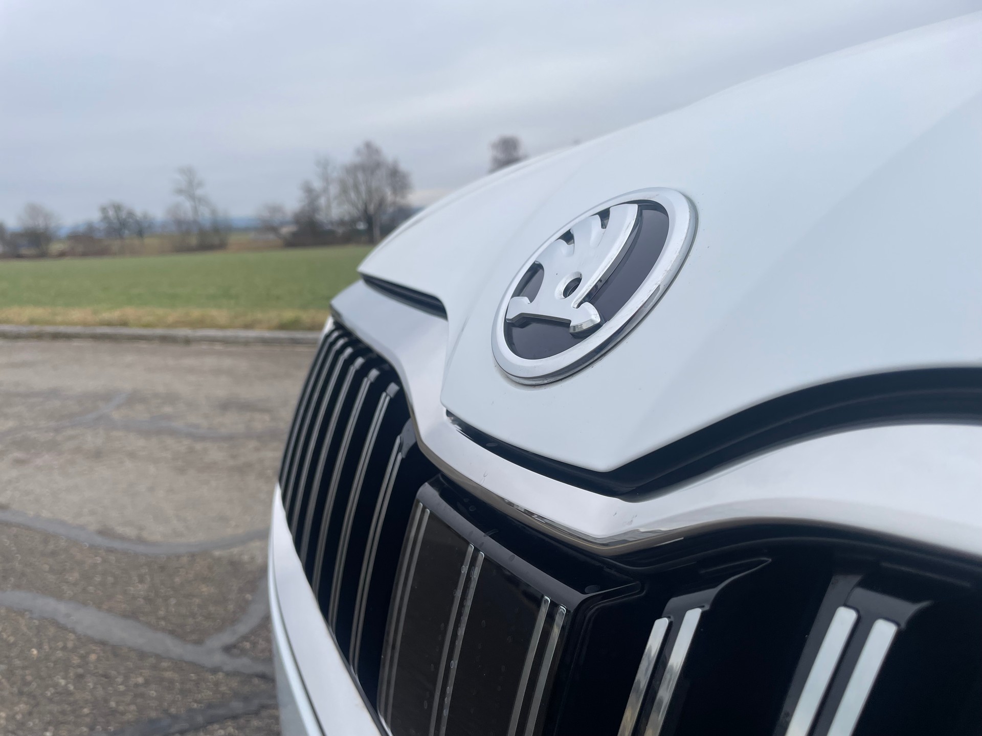 SKODA Superb Combi 2.0 TDi Style 4x4 DSG * MY SKODA PAKET - LEDER ALCANTARA - WEISS METALLIC - AHK 2200kg *-image-9