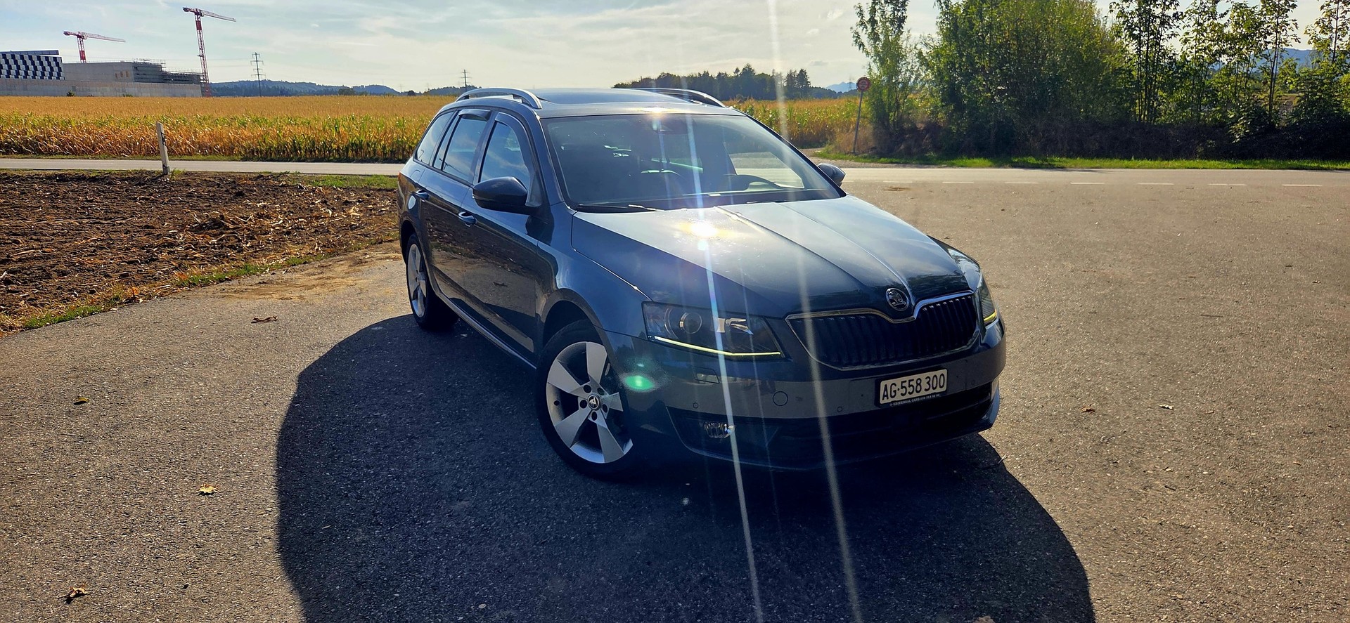 SKODA Octavia Combi 2.0 TDI Elegance DSG-image-6