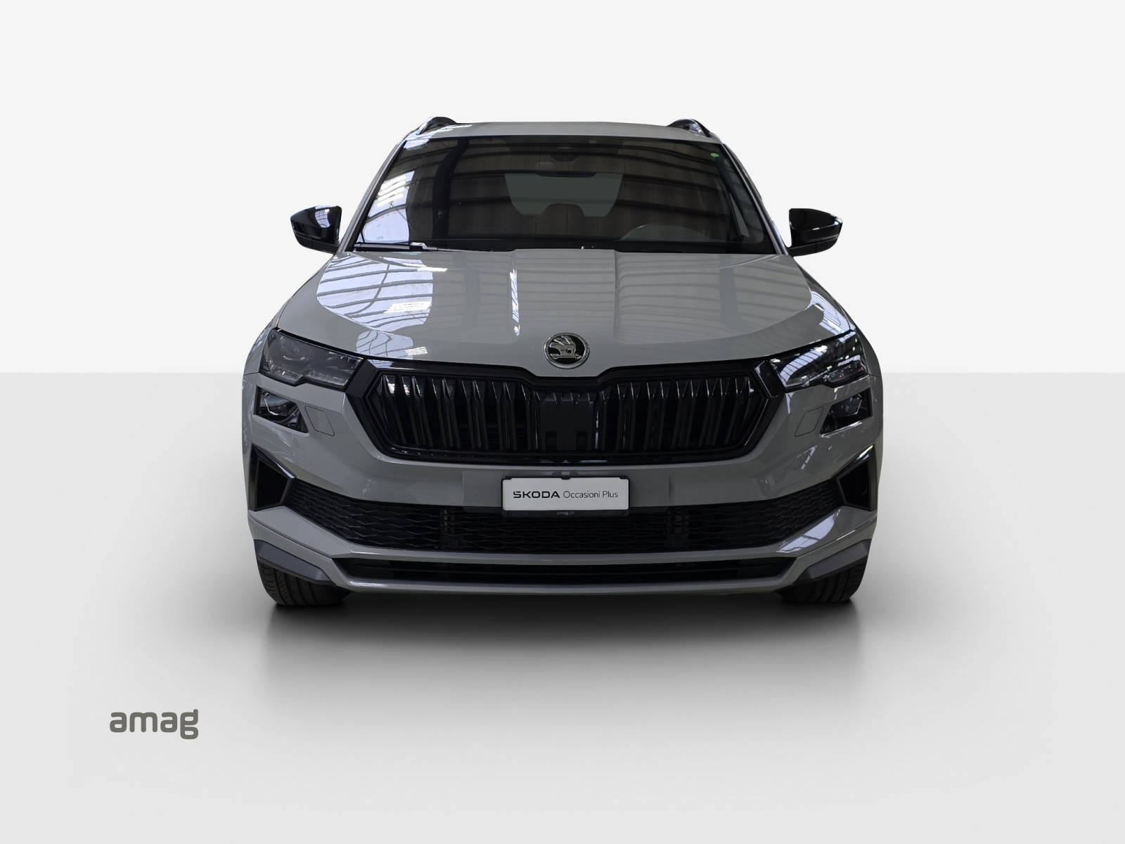 SKODA Karoq 1.5 TSI SportLine DSG-image-6