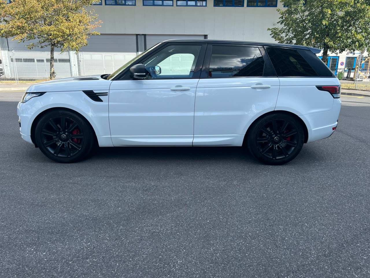 LAND ROVER Range Rover Sport 3.0 SDV6 Dynamic Aut.-image-2