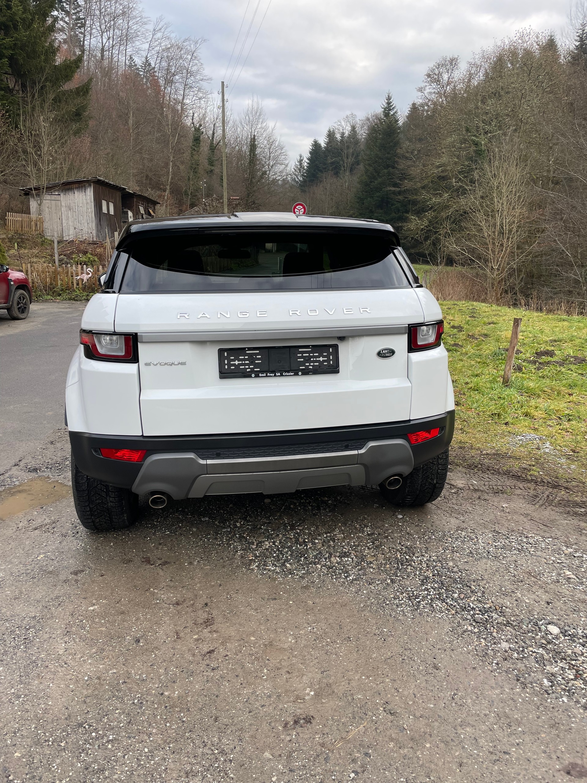 LAND ROVER Range Rover Evoque 2.0 TD4 SE AT9-image-3