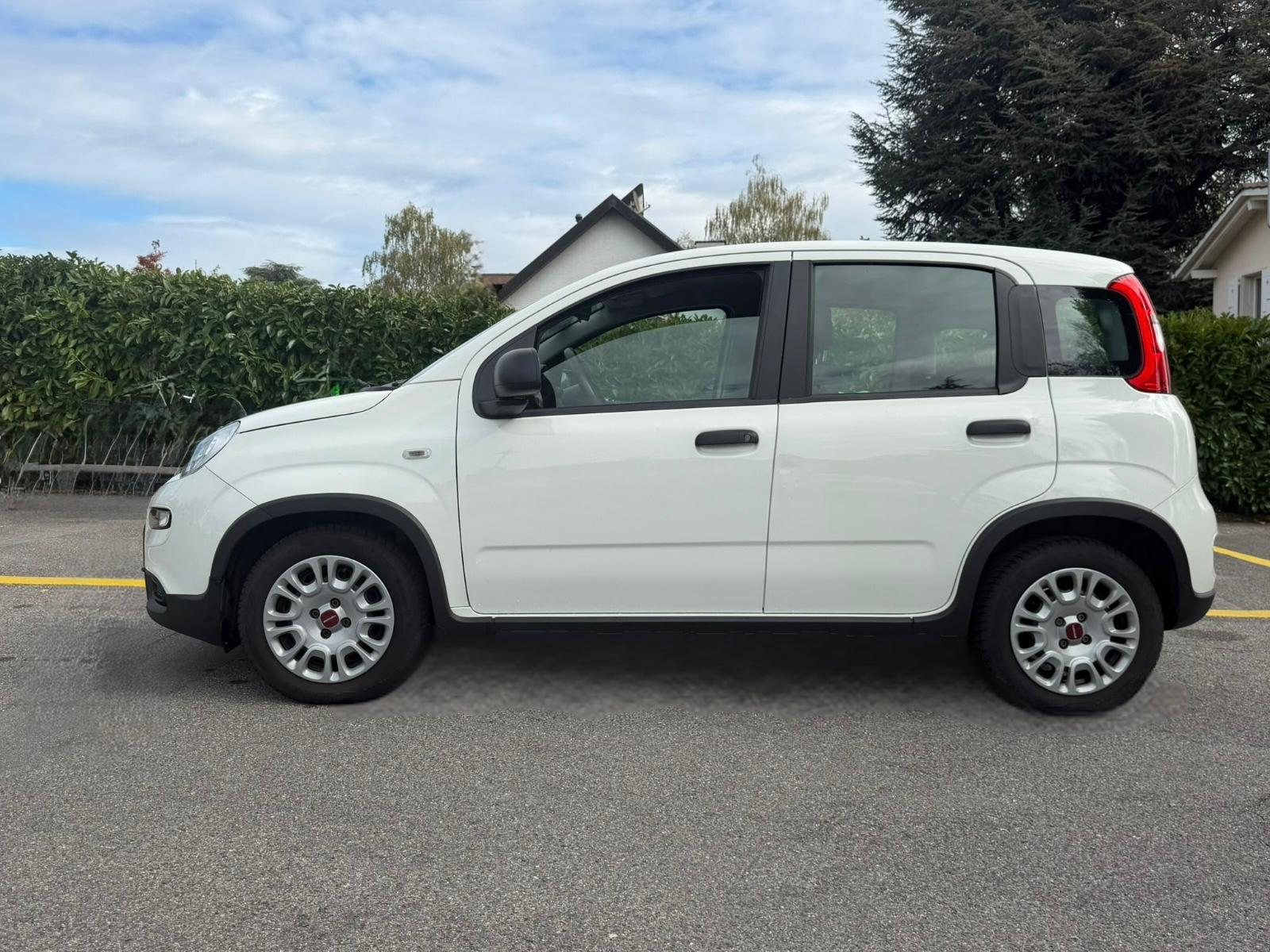 FIAT Panda 1.0 MHEV Cool-image-2