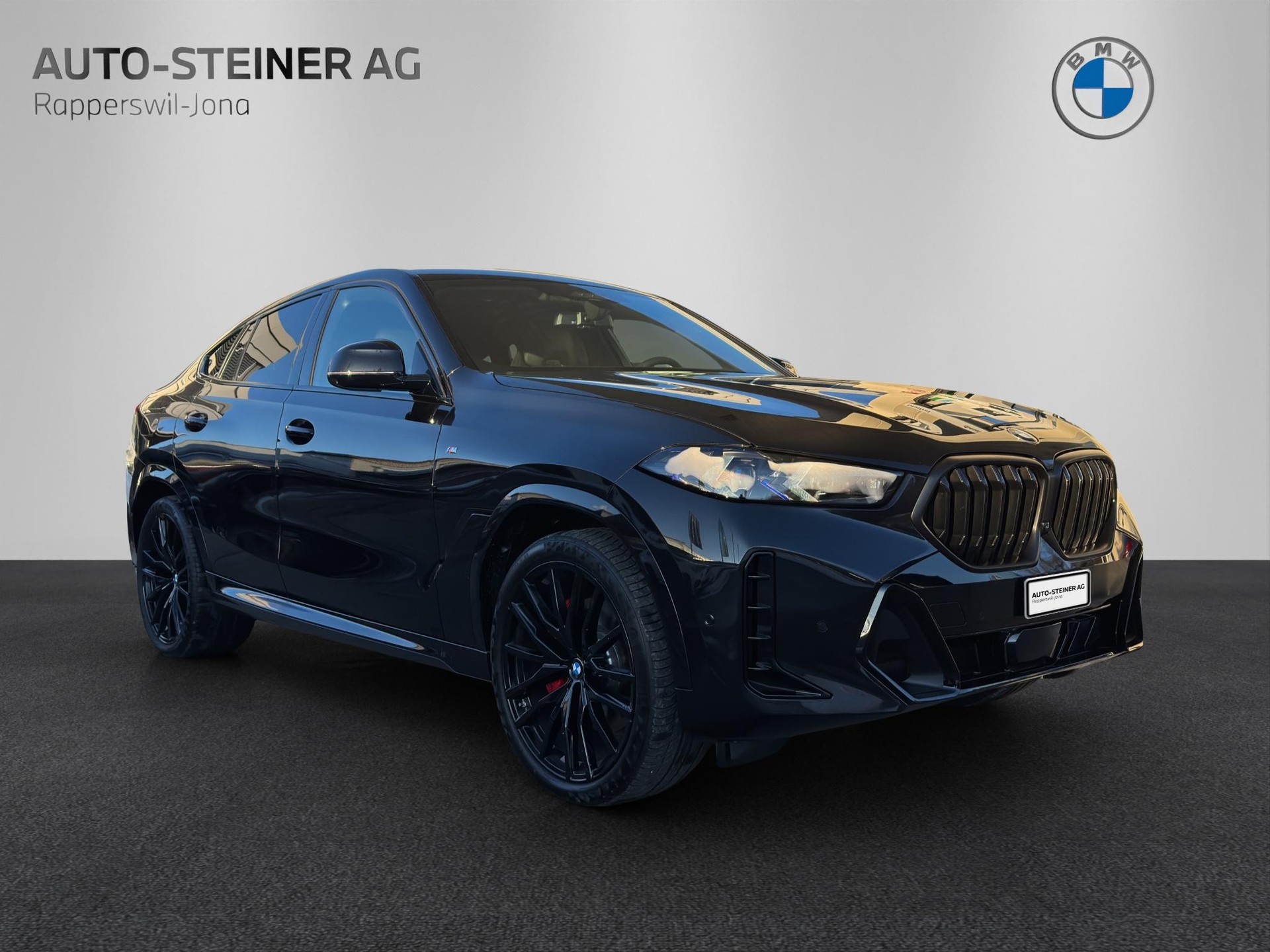 BMW X6 40i xDrive M Sport Pro-image-6