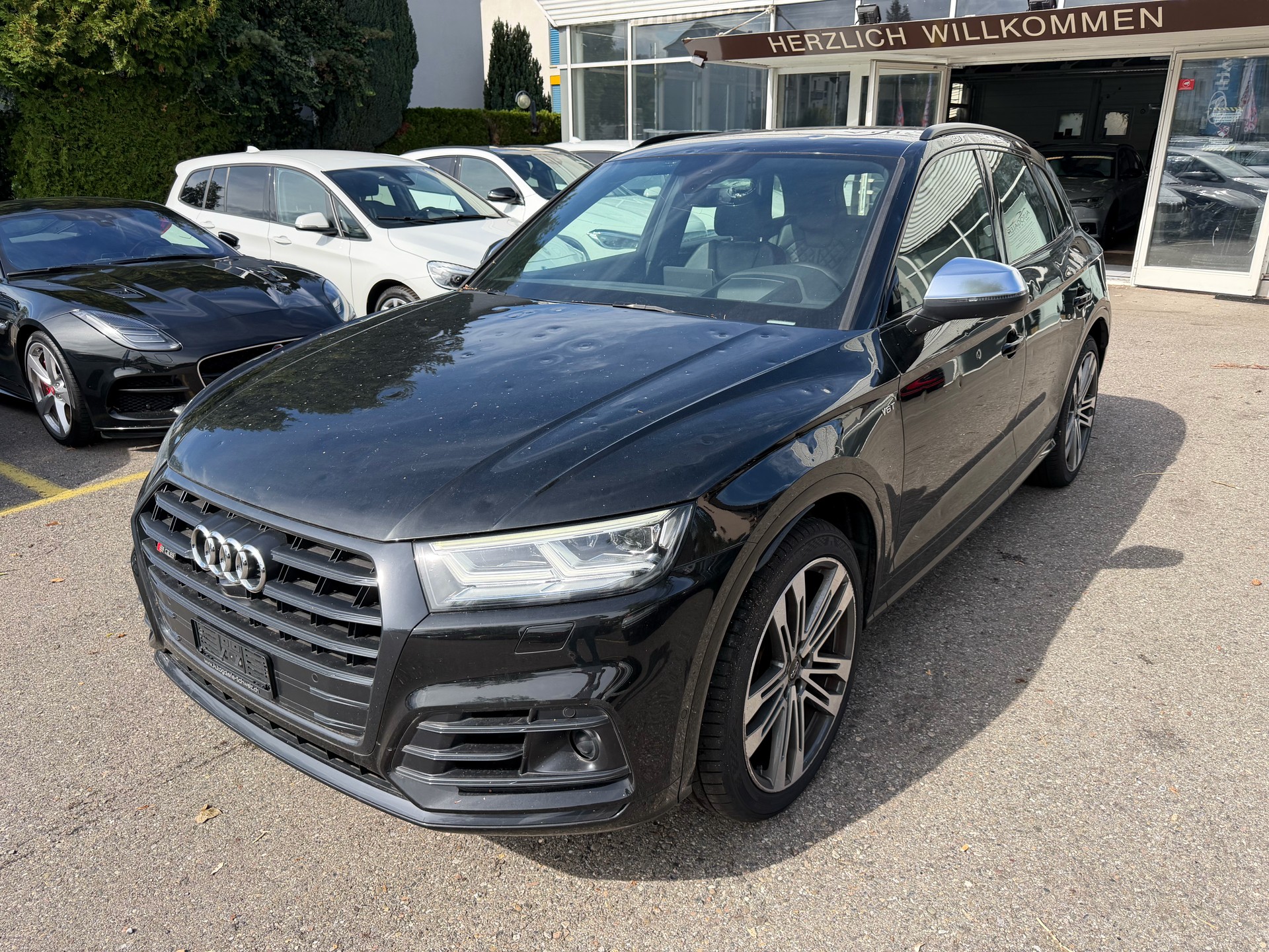 AUDI SQ5 3.0 TFSI quattro S-tronic | CH | Panorama | HeadUp| B&O | Luftfederung | Assistenzsysteme | HAGEL |-showroom-element-1