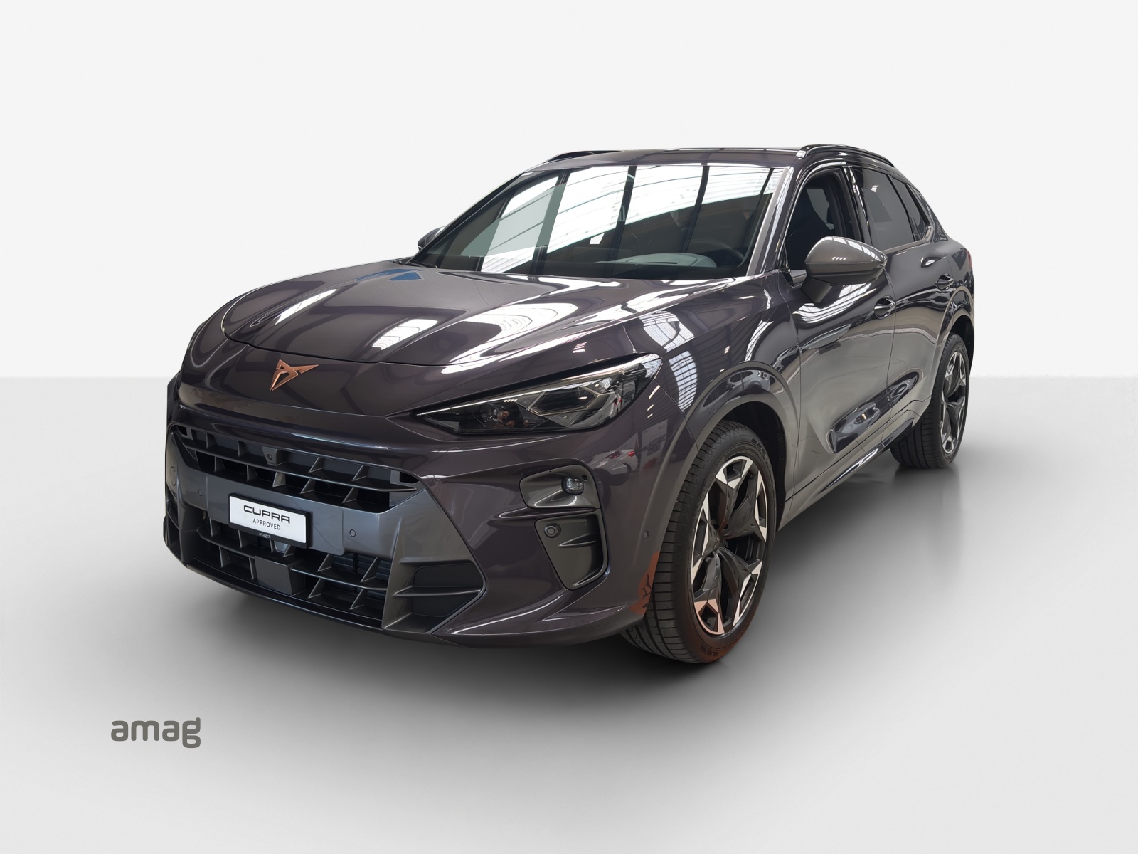 CUPRA Terramar 2.0 TSI DSG 4Drive VZ-image-0