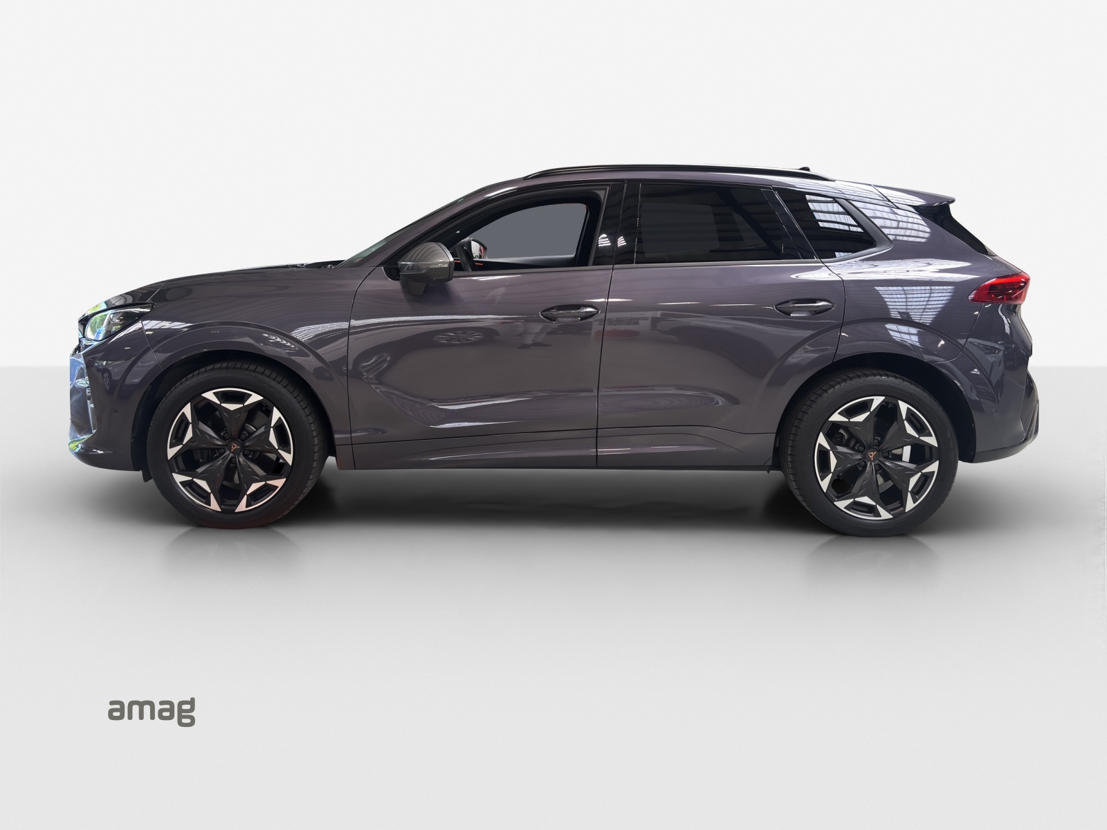 CUPRA Terramar 2.0 TSI DSG 4Drive VZ-image-1