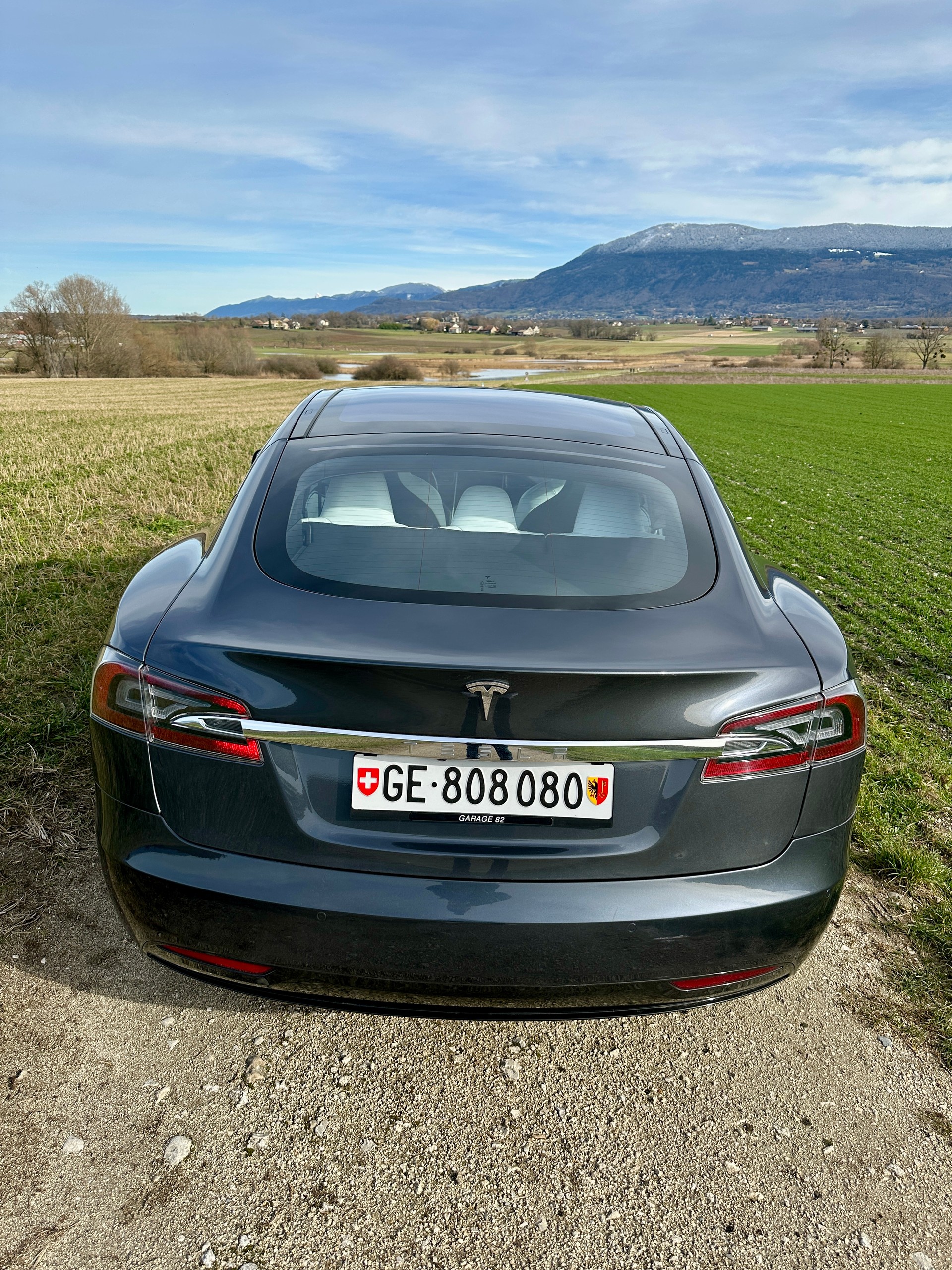 TESLA Model S 100 D Performance-image-7