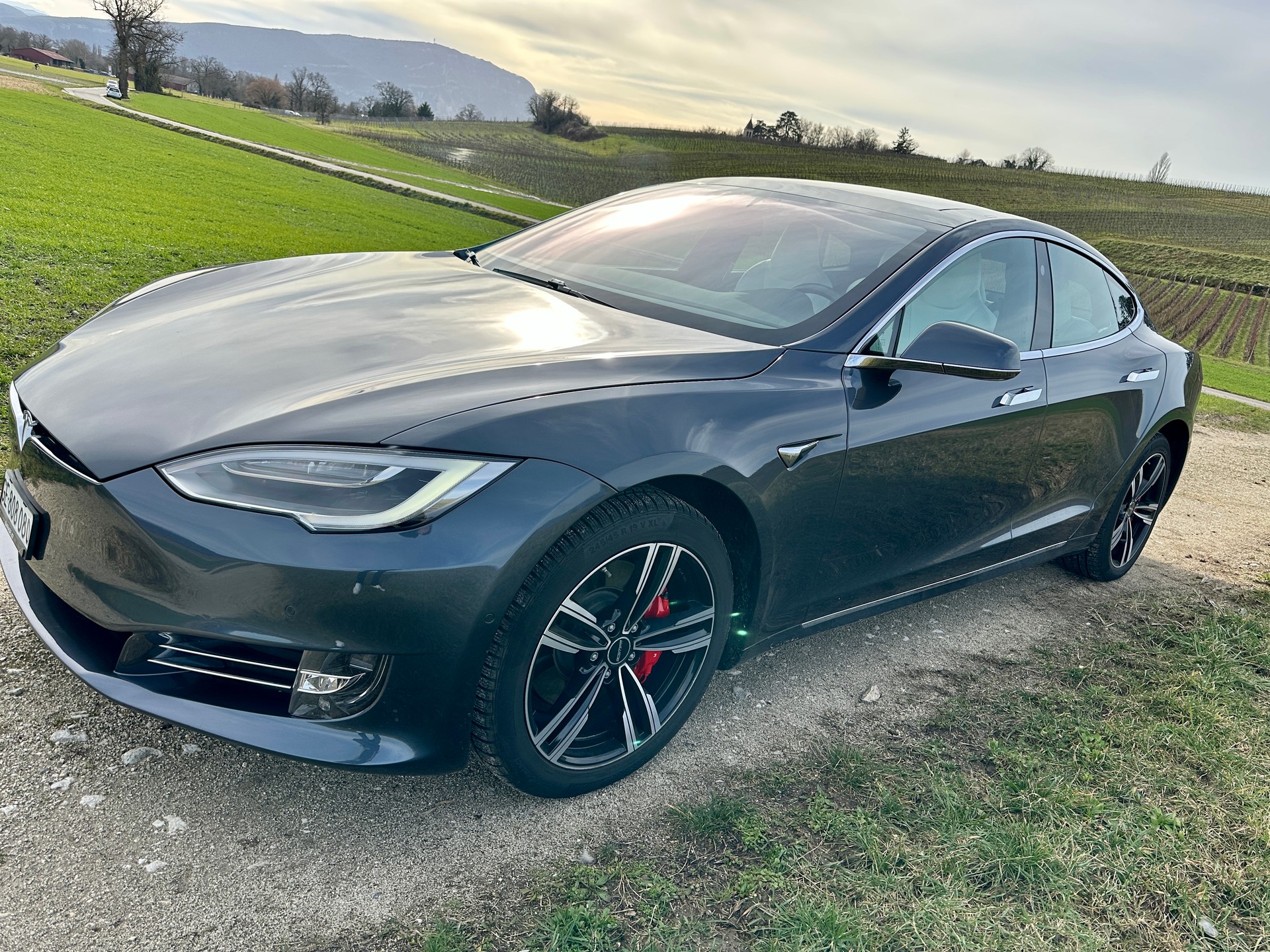 TESLA Model S 100 D Performance-image-0
