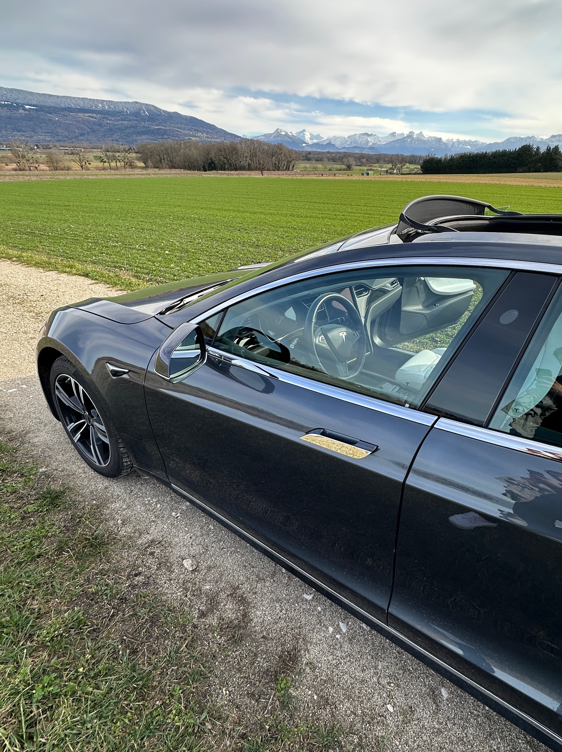 TESLA Model S 100 D Performance-image-14
