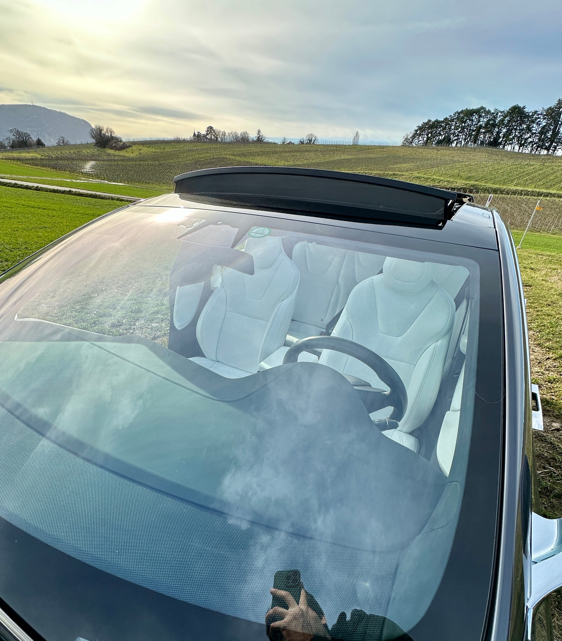 TESLA Model S 100 D Performance-image-3