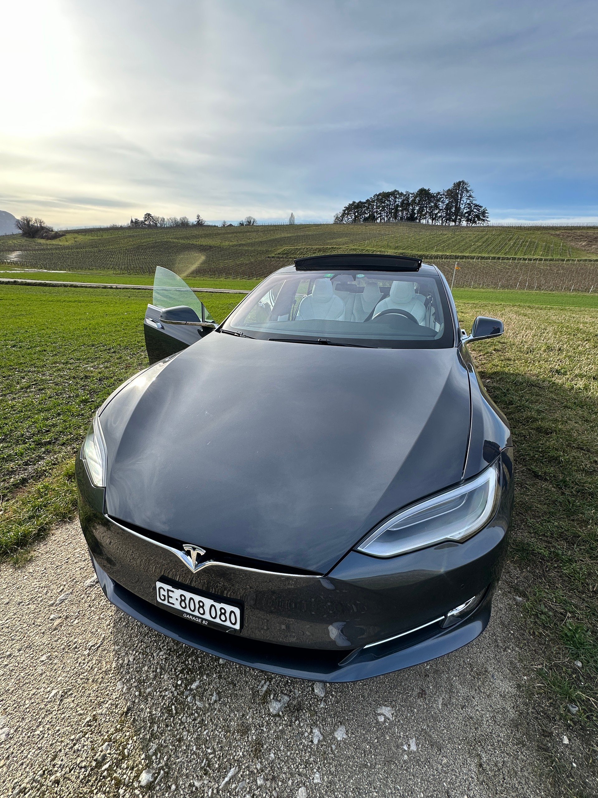 TESLA Model S 100 D Performance-image-6