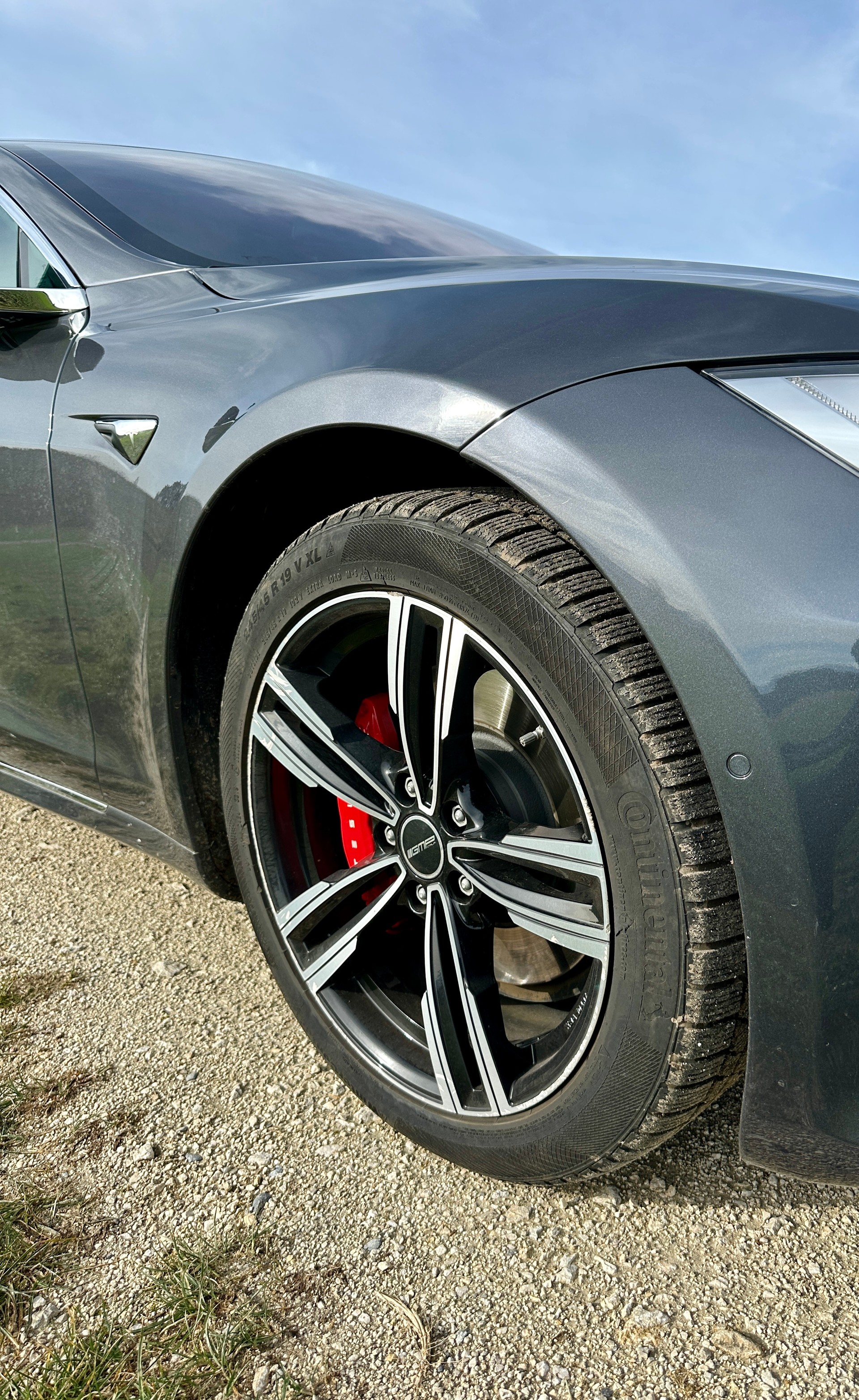TESLA Model S 100 D Performance-image-2