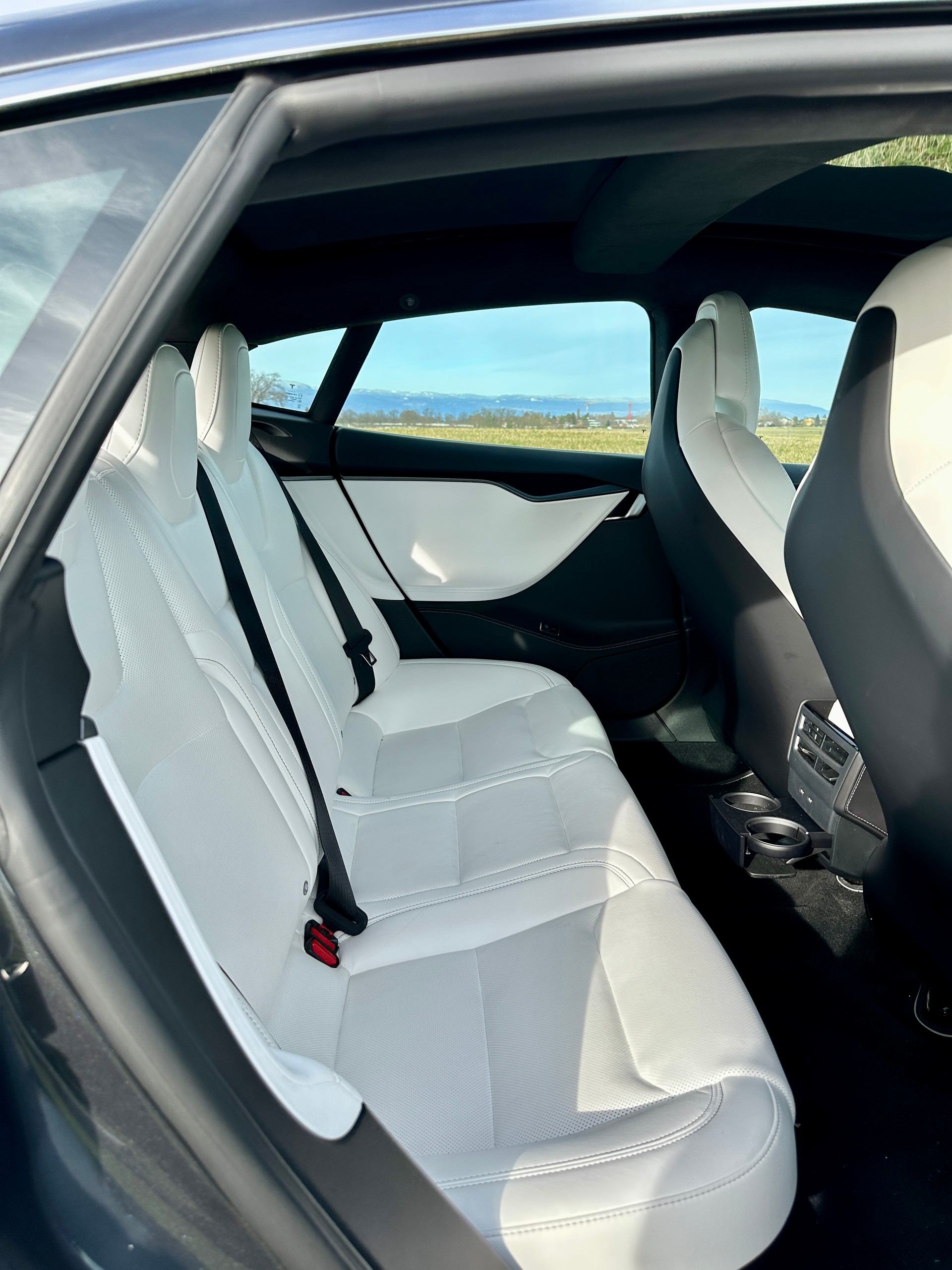 TESLA Model S 100 D Performance-image-4