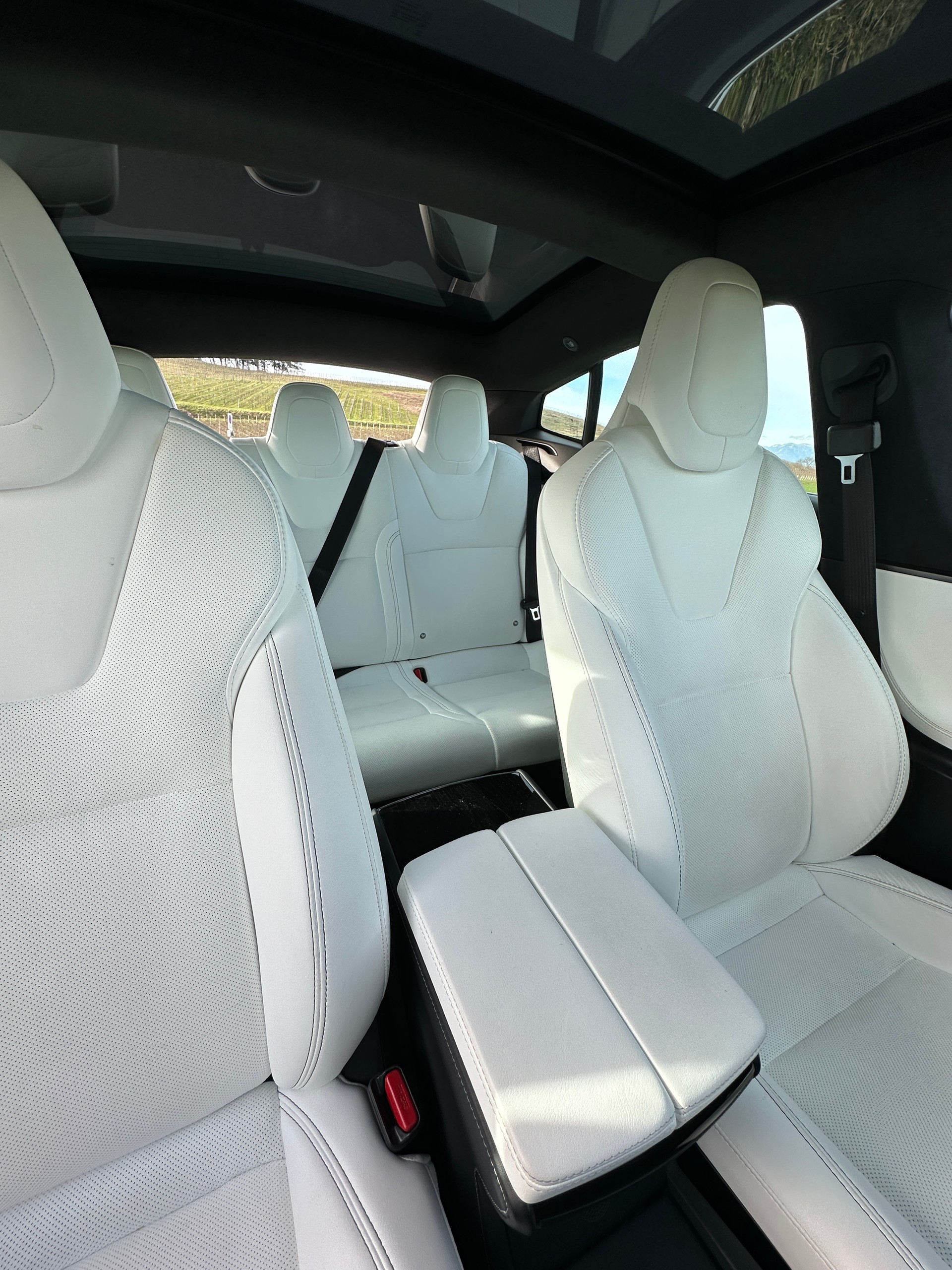 TESLA Model S 100 D Performance-image-13
